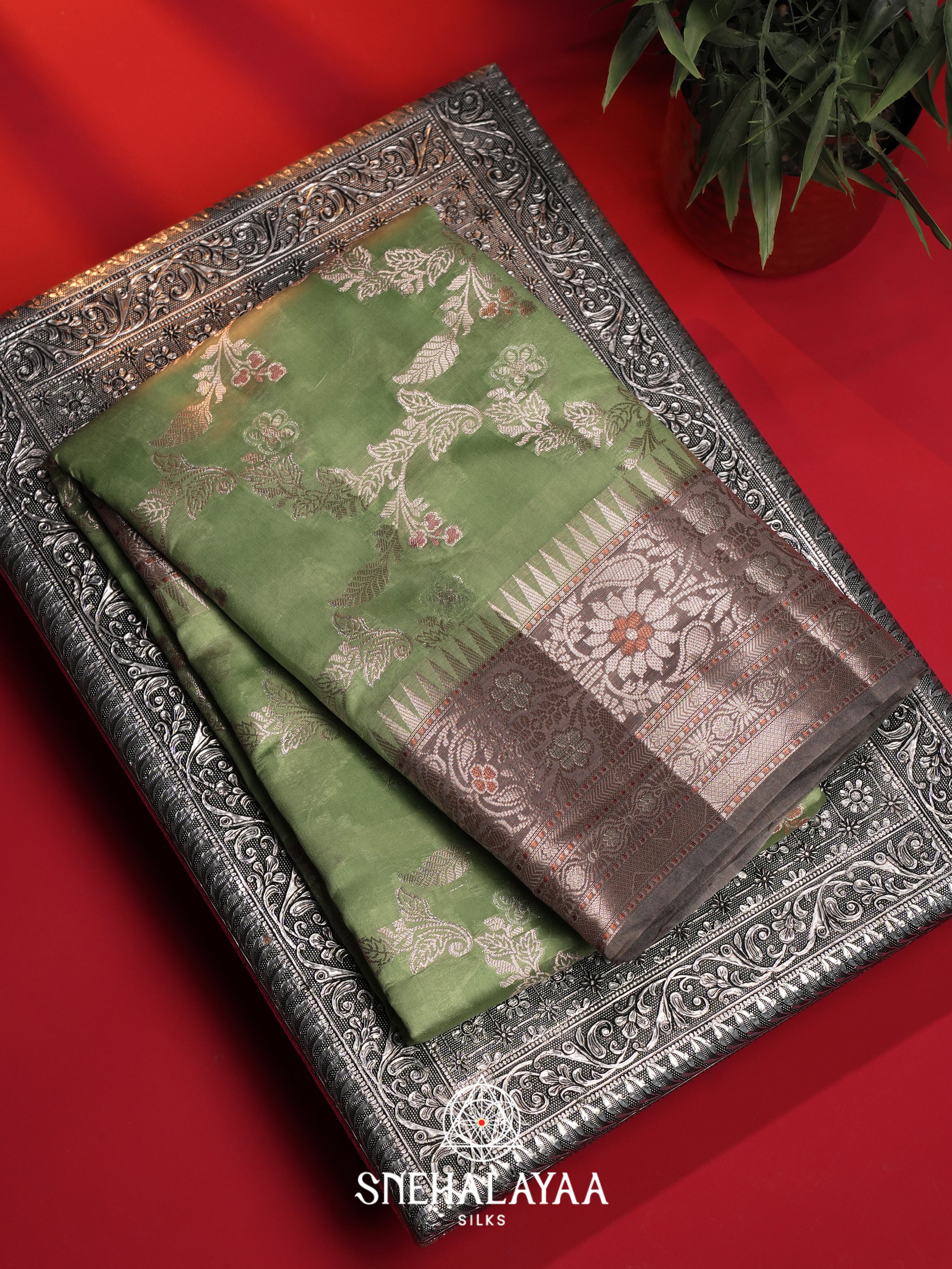Green Dupion Silk Saree