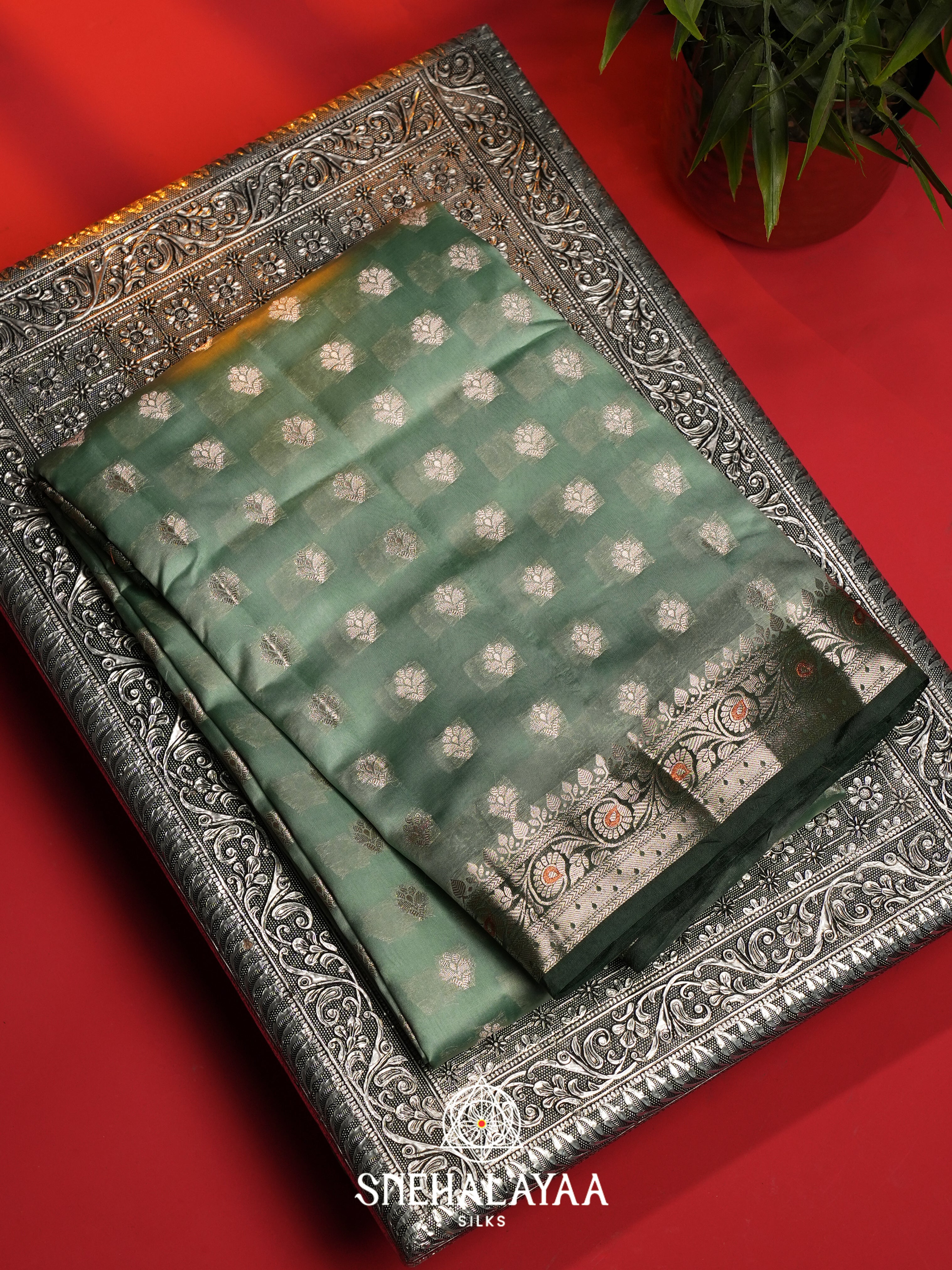Green Dupion Silk Saree