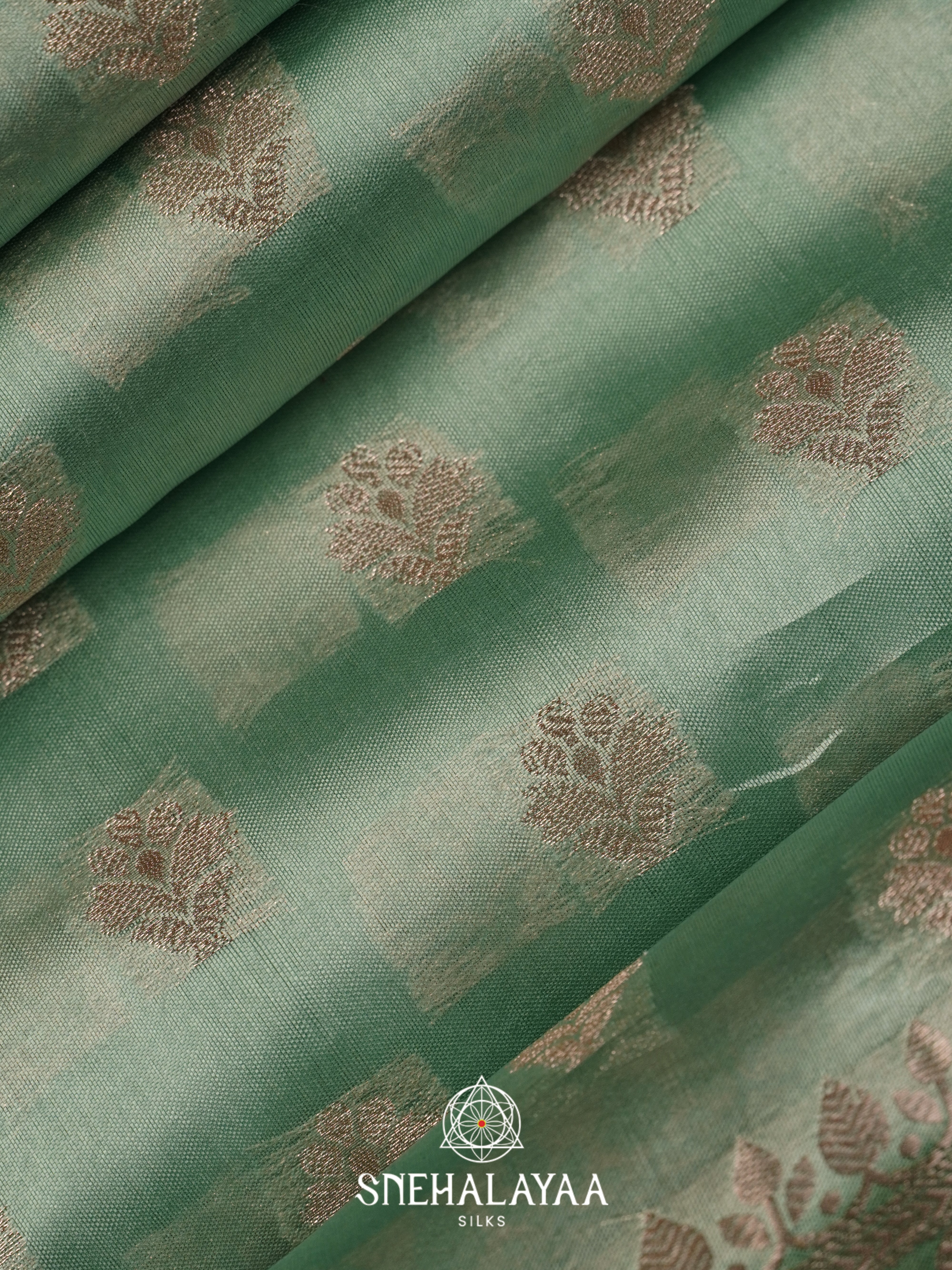 Green Dupion Silk Saree