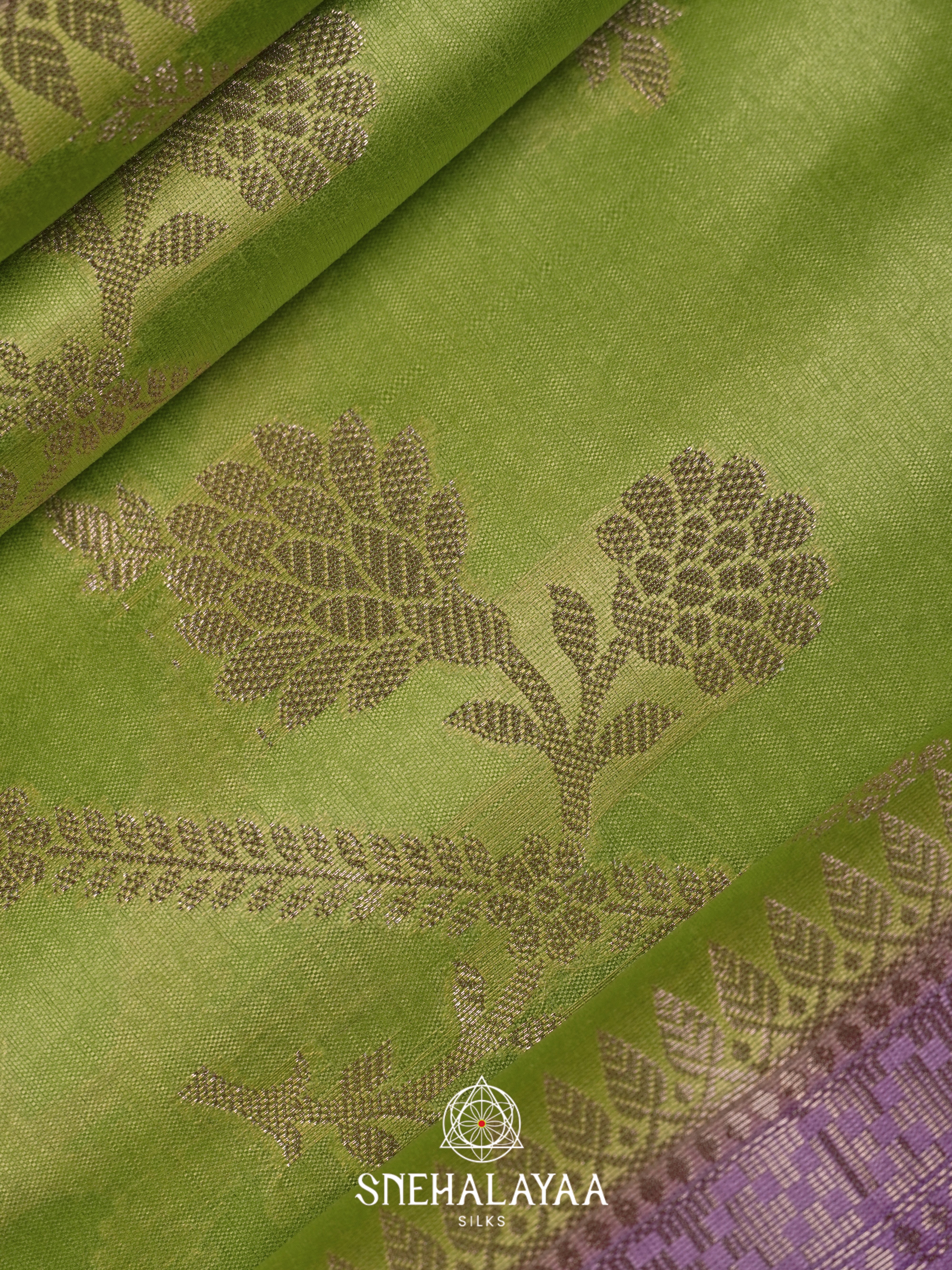 Green Dupion Silk Saree