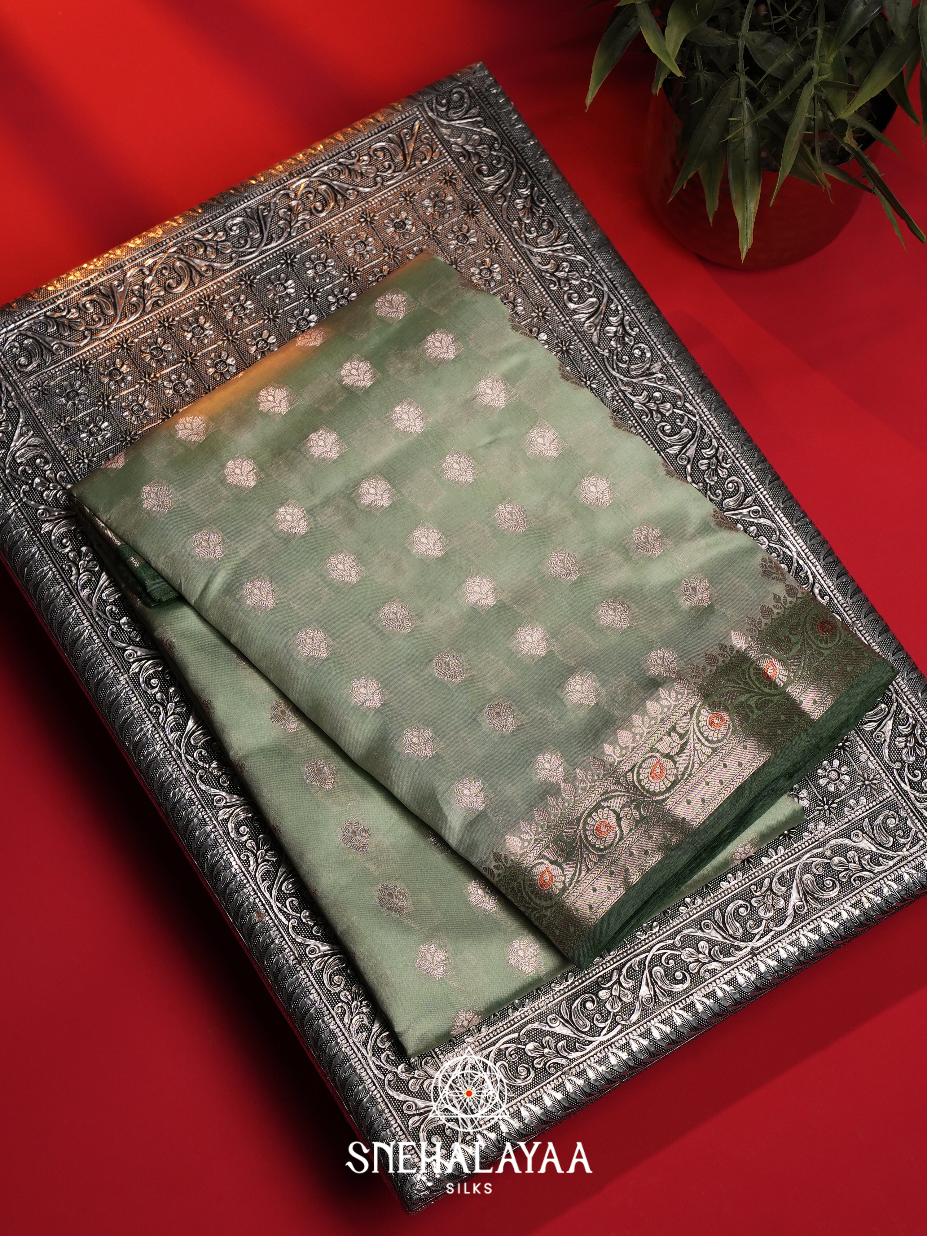 Sage Green Dupion Silk Saree