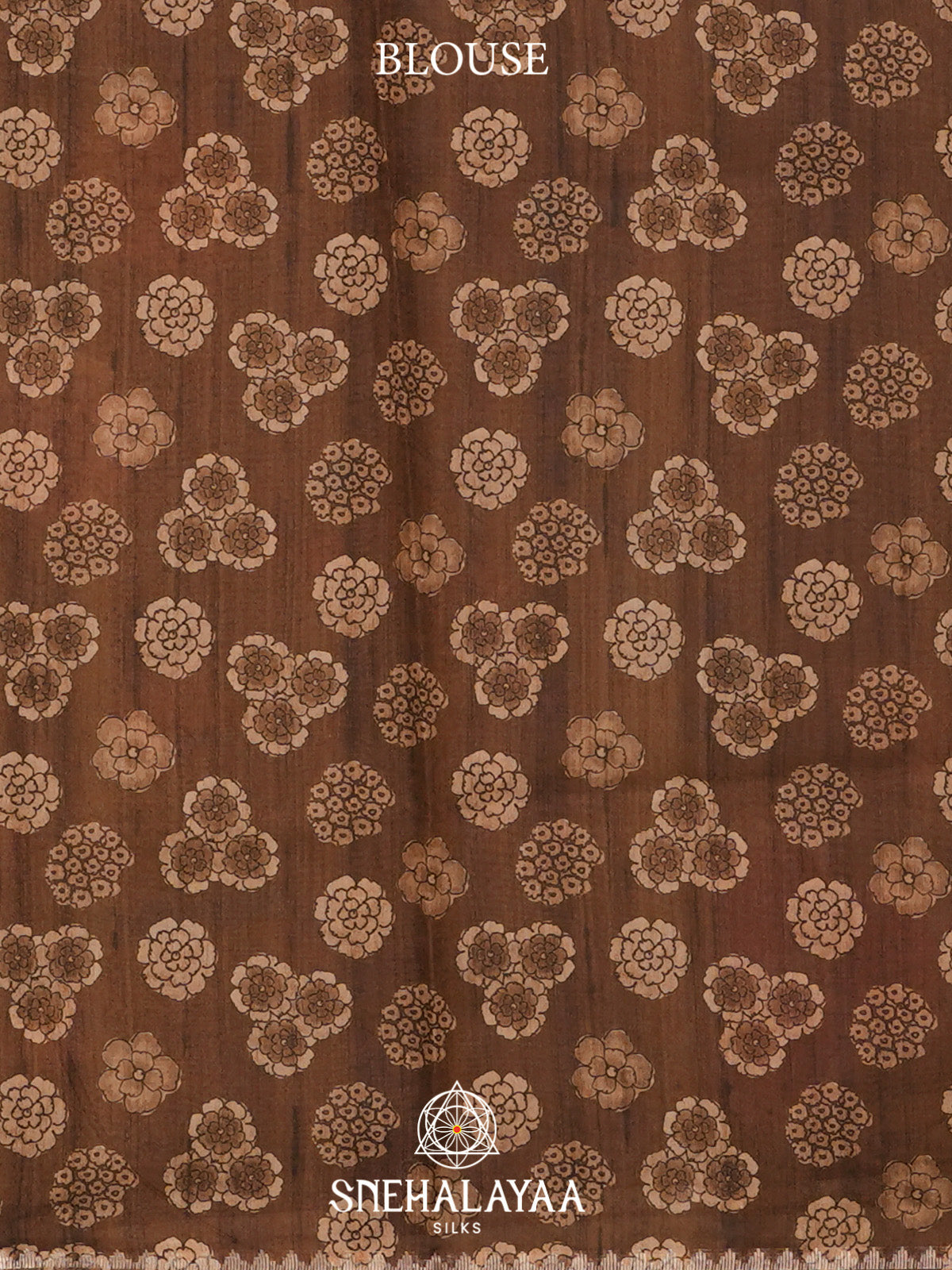 Brown Tussar Saree