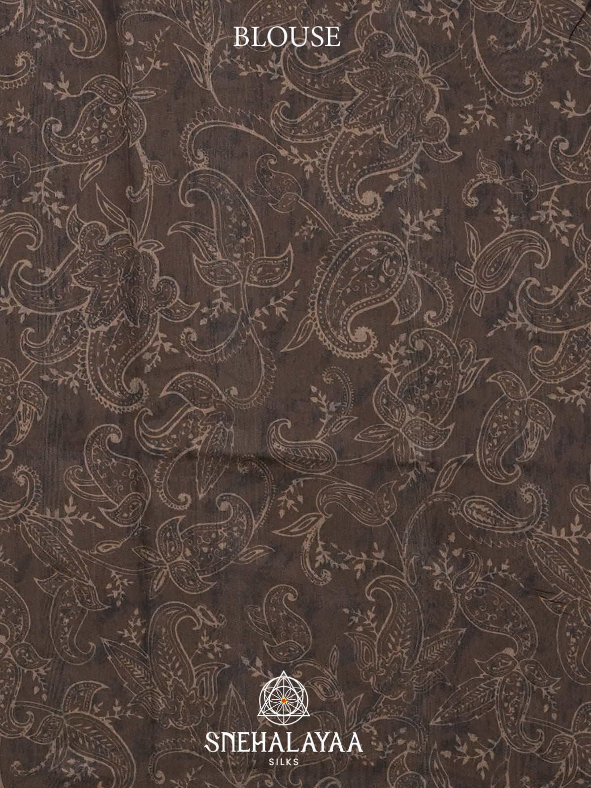 Coffee Brown Tussar Saree