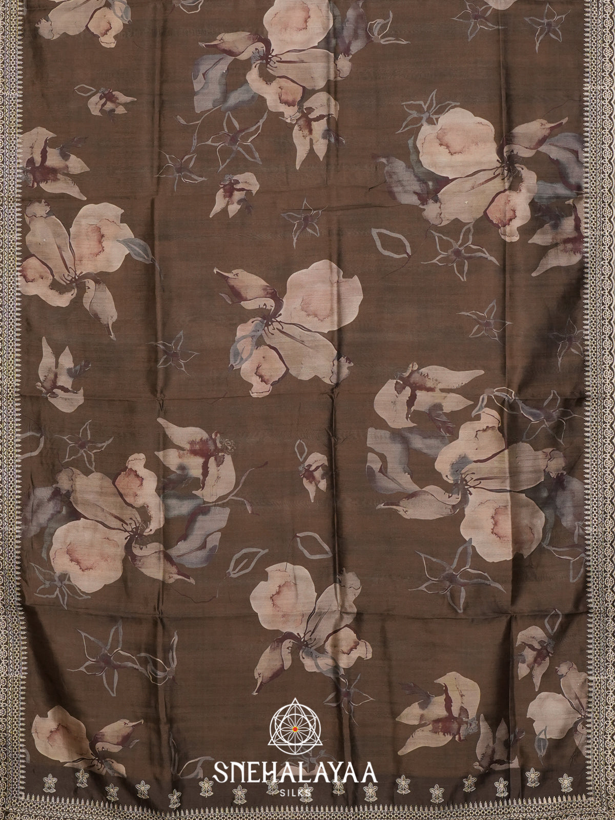 Brown Tussar Saree
