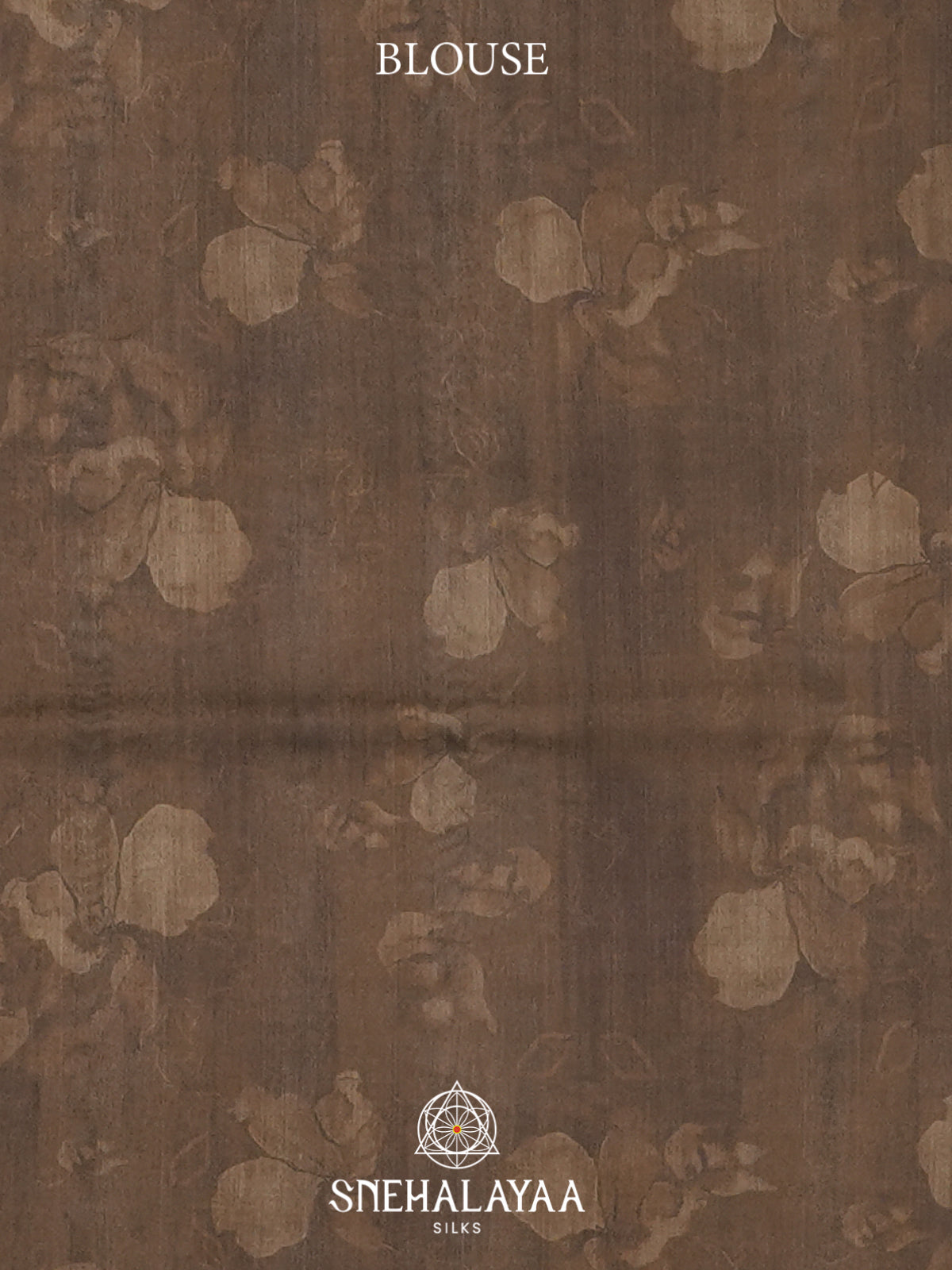 Brown Tussar Saree