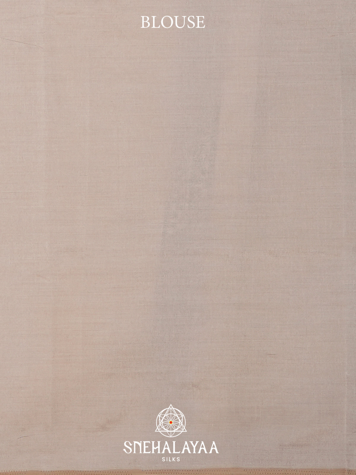 Beige Tussar Saree