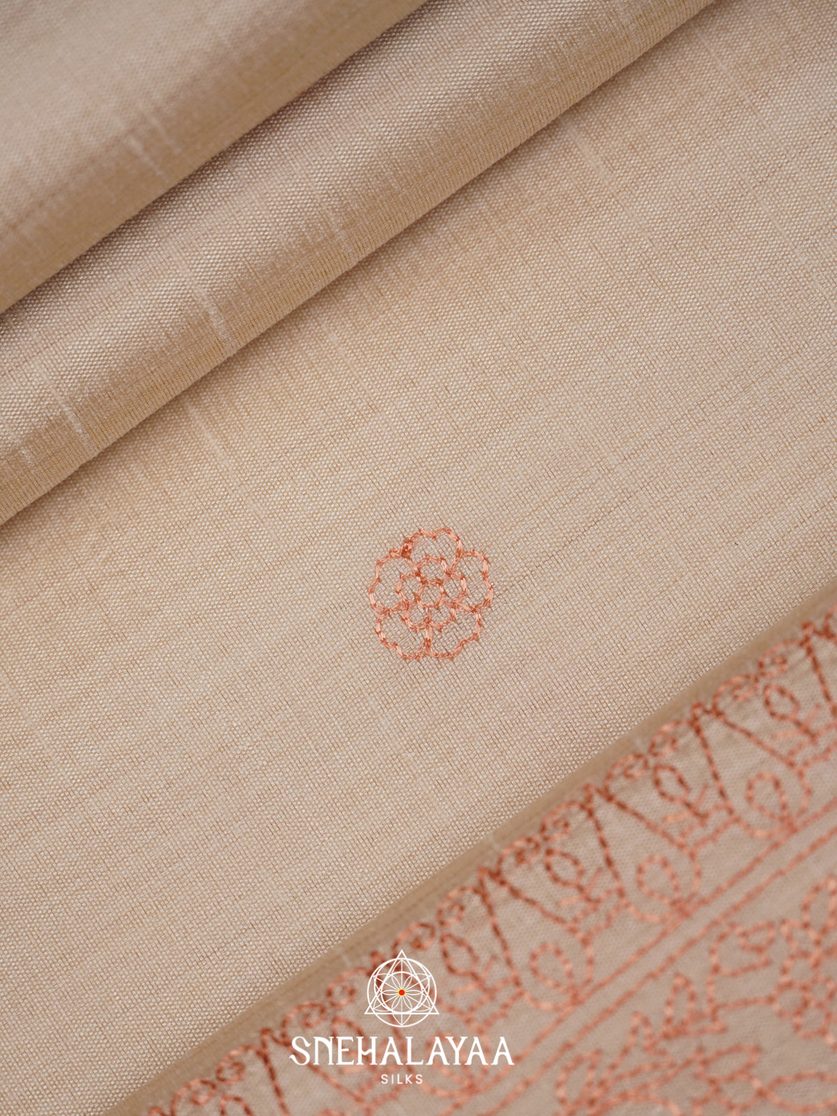 Beige Tussar Saree