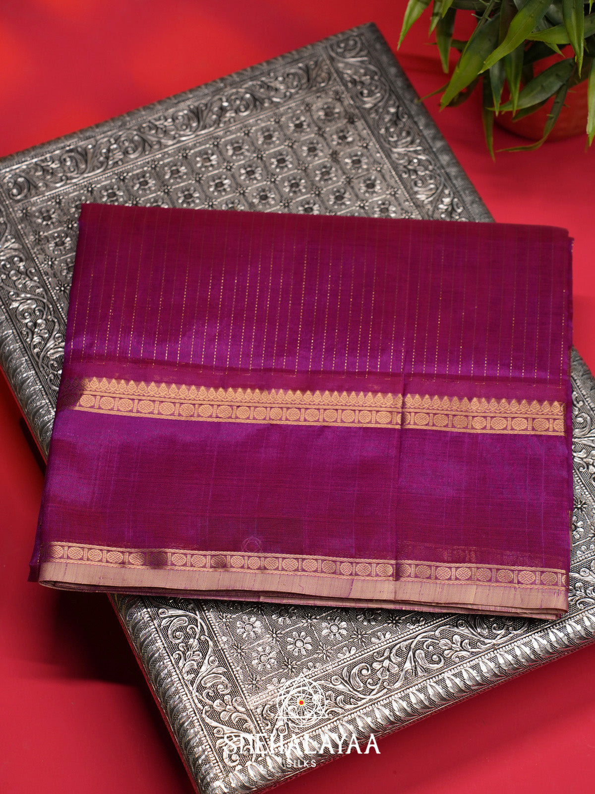 Magenta Striped Silk Cotton Saree with Gold Zari Border