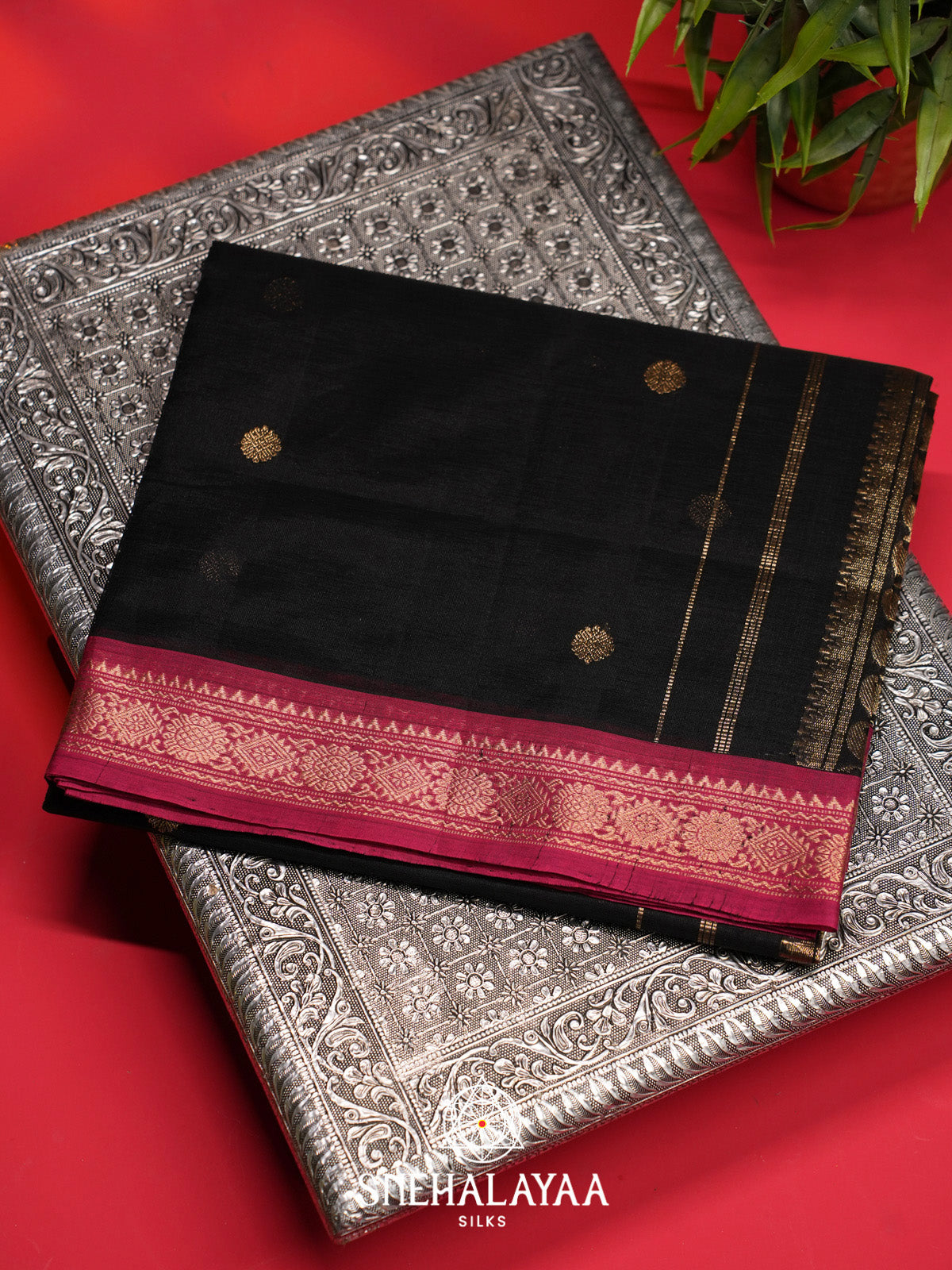 Black Silk Cotton Saree with Gold Zari Buttas and Rani Pink Zari Border