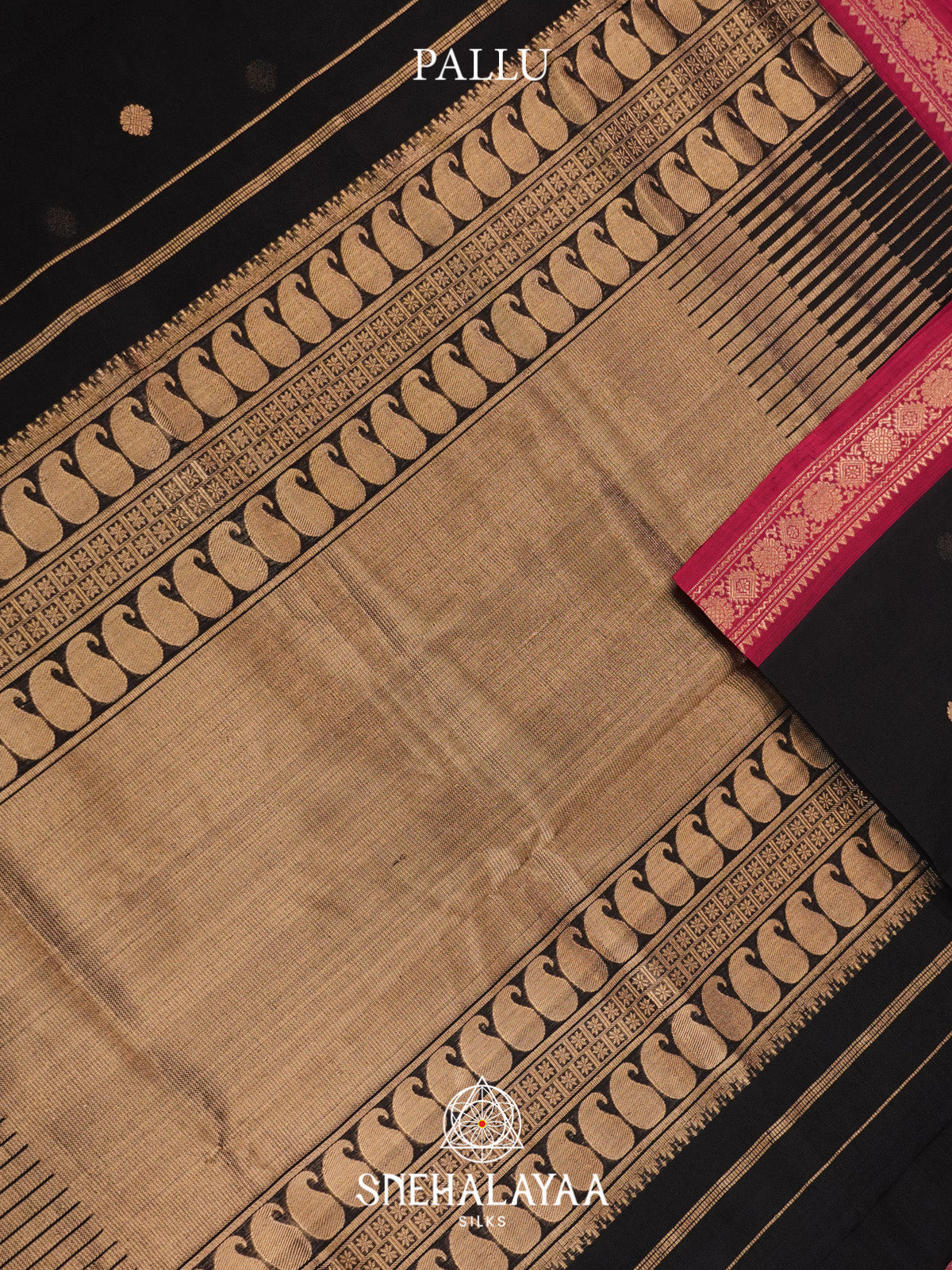 Black Silk Cotton Saree with Gold Zari Buttas and Rani Pink Zari Border