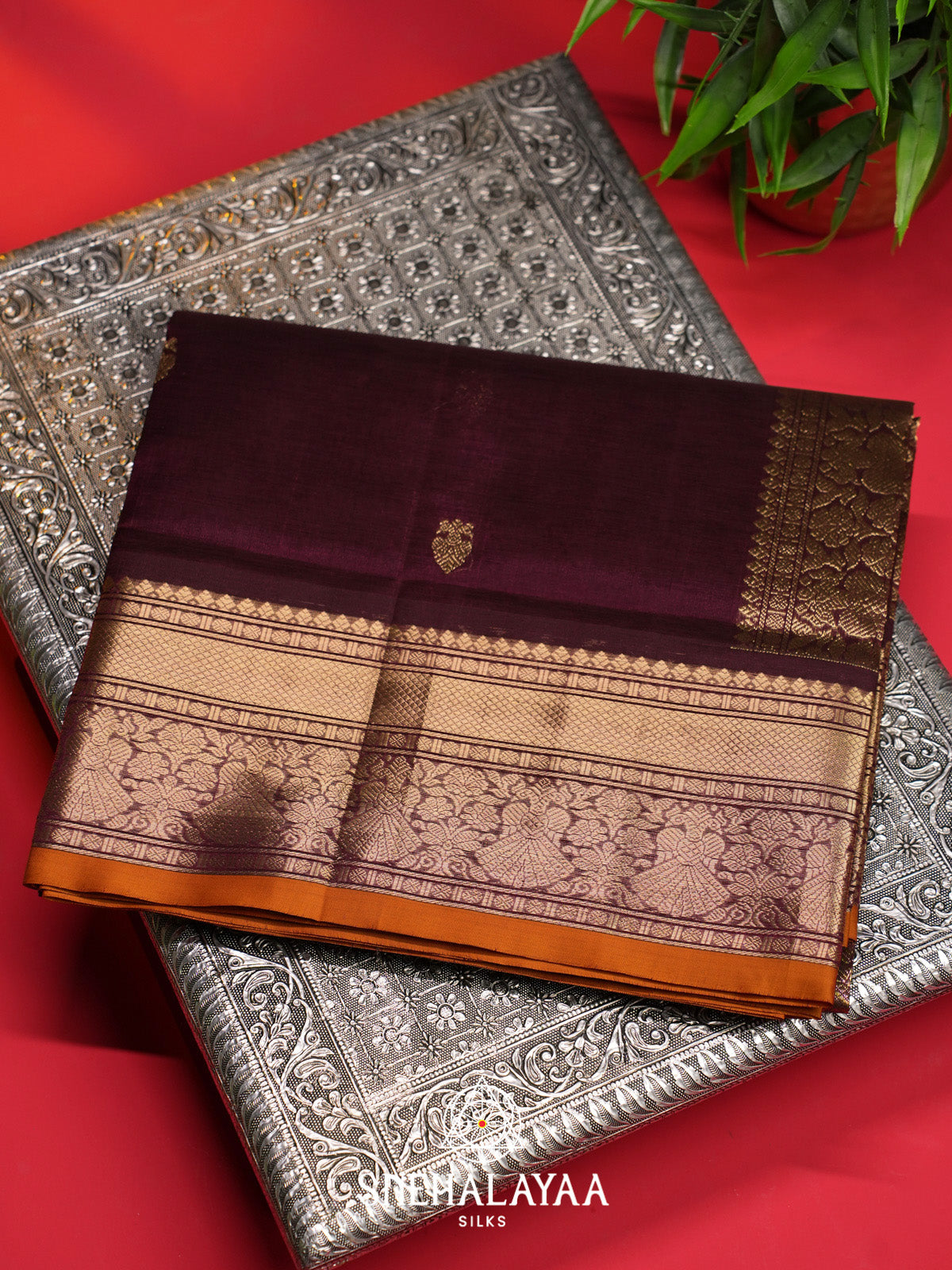 Wine Silk Cotton Saree with Gold Zari Buttas and Zari Border