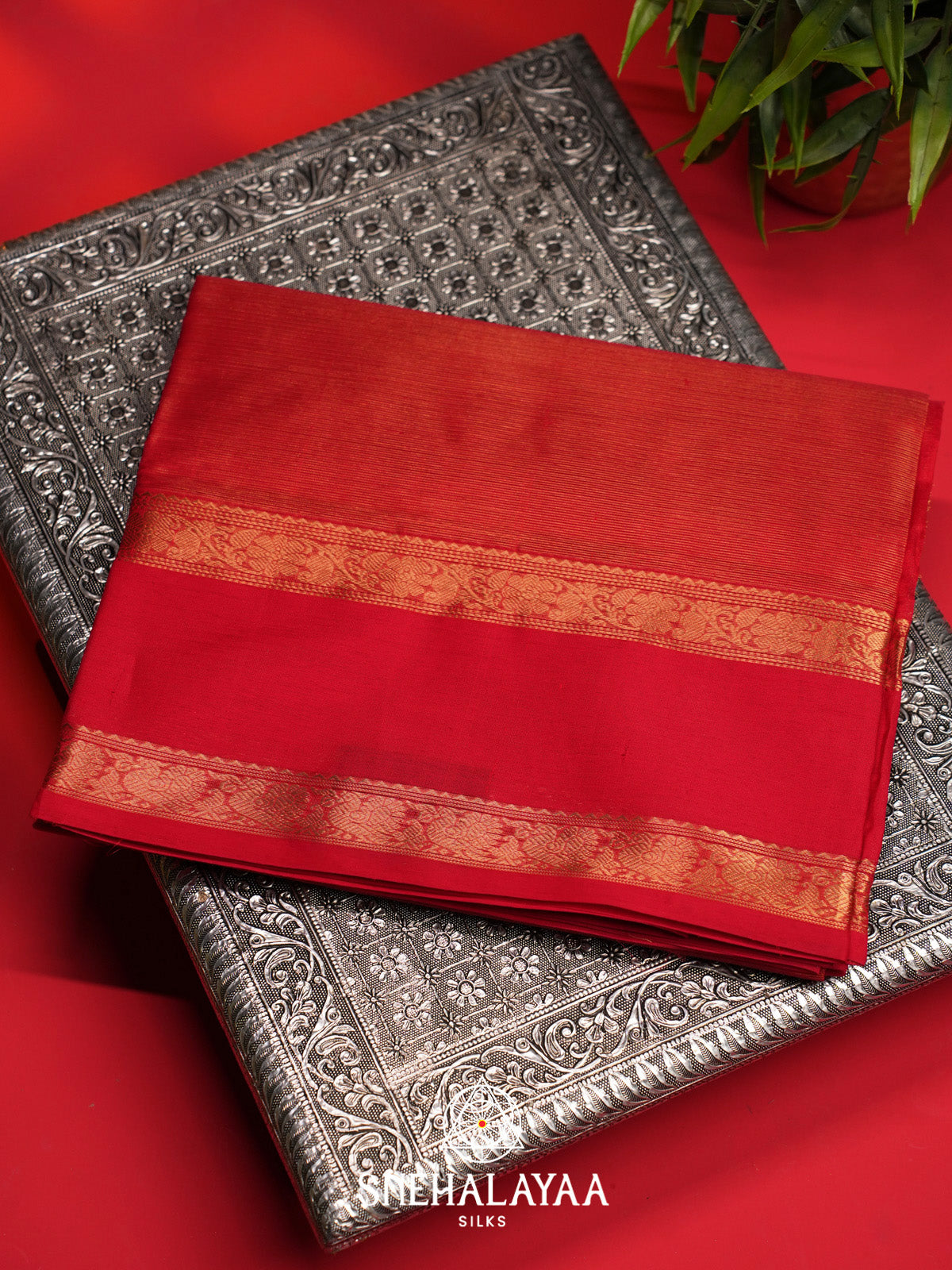 Red Silk Cotton Saree with Gold Zari Border