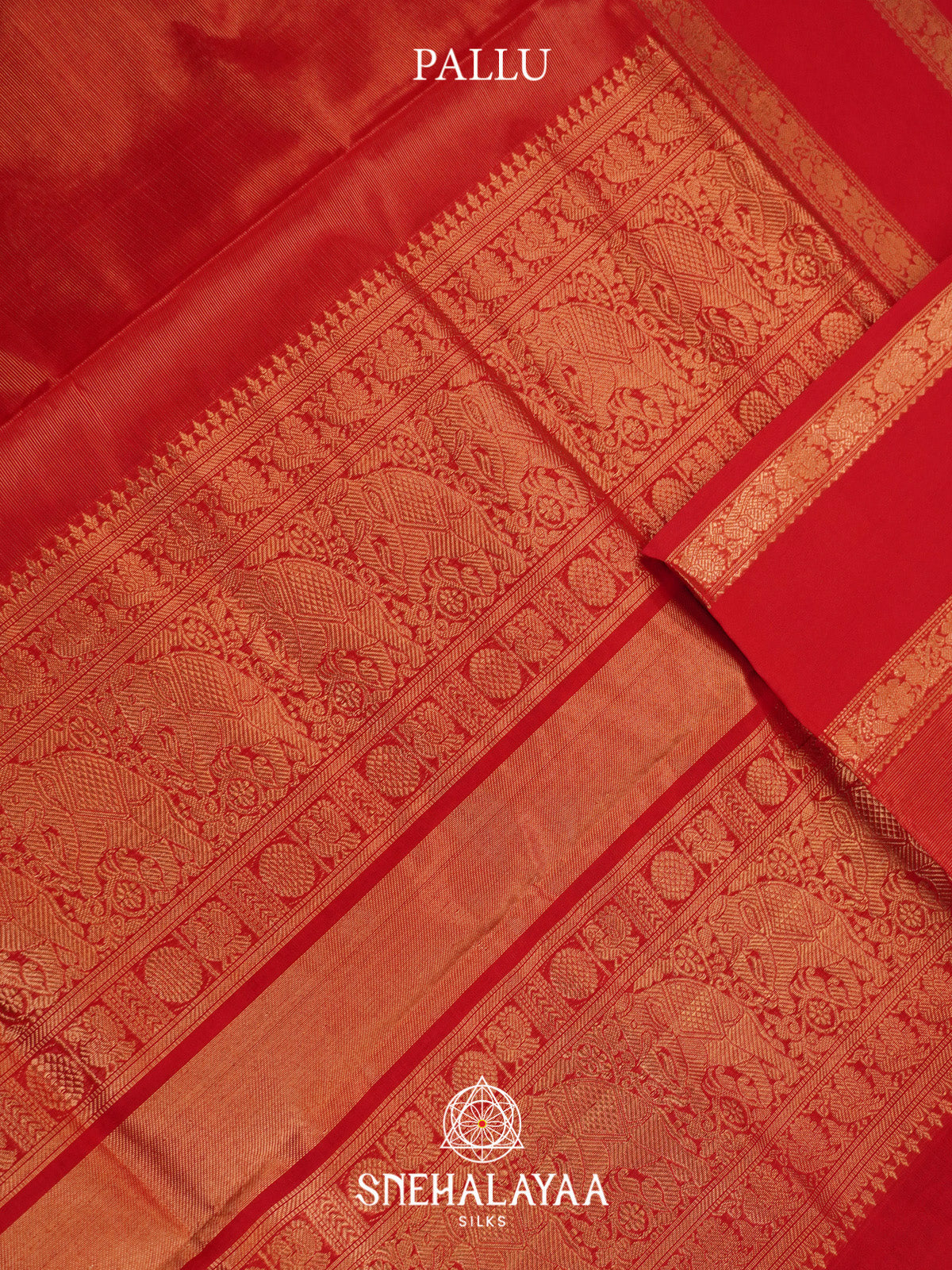 Red Silk Cotton Saree with Gold Zari Border