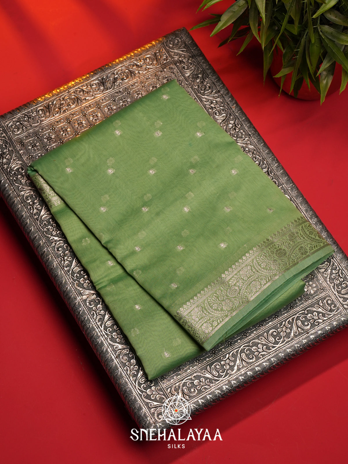 Sage Green Chanderi Saree