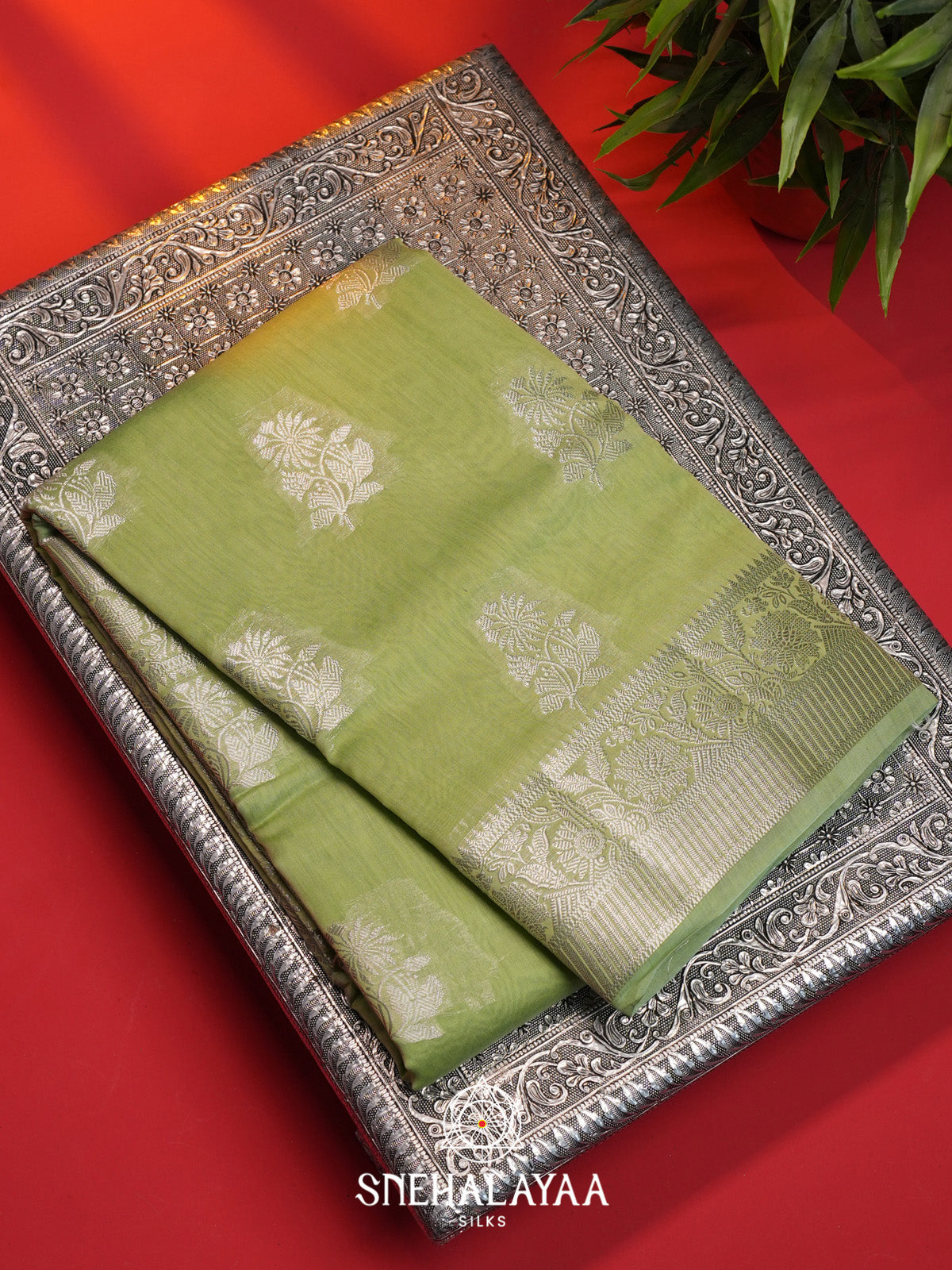 Olive Green Chanderi Saree