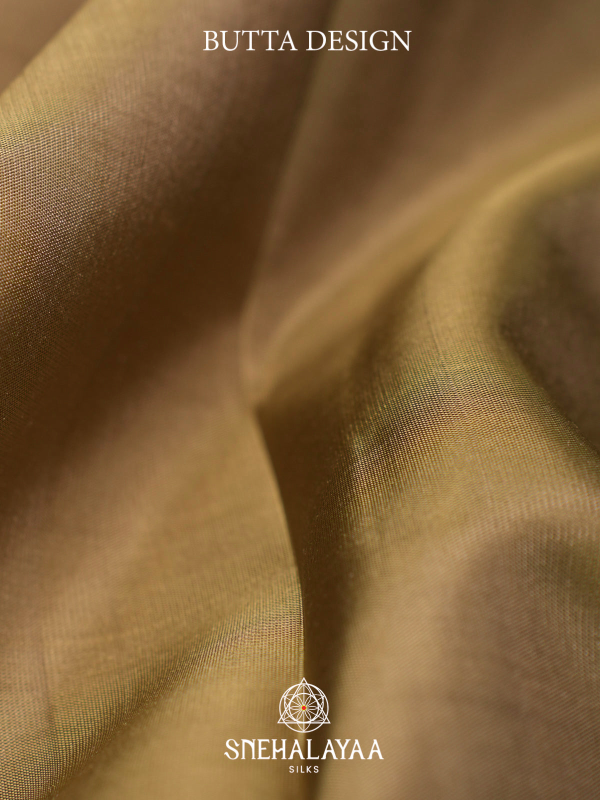 Beige Gold Kanjivaram Silk Saree