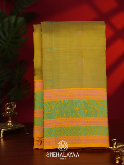 Olive Yellow Kanjivaram Silk Saree