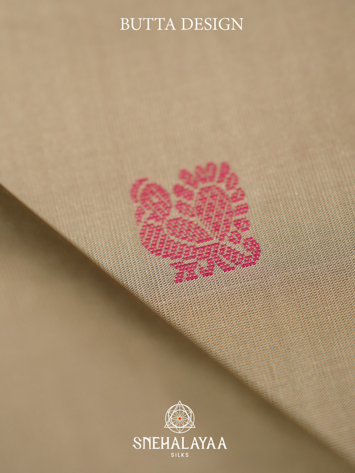Beige Kanjivaram Silk Saree