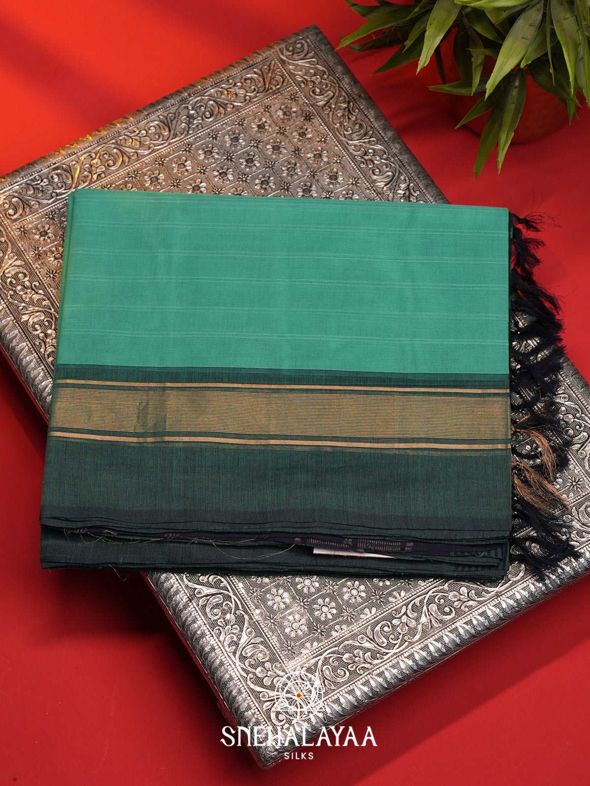 Sea Form Green Handloom Cotton Saree