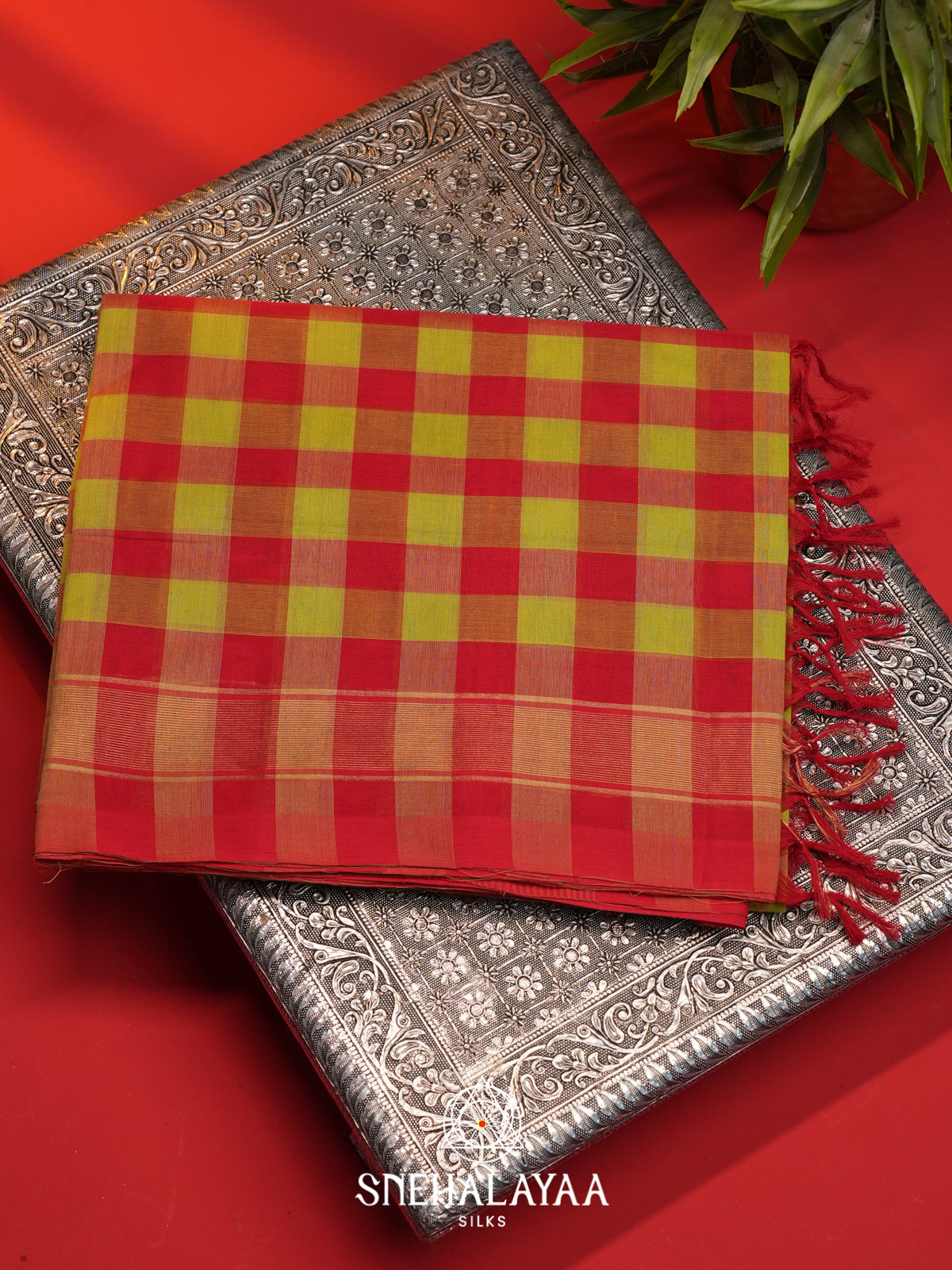 Multi Colour Checks Handloom Cotton Saree