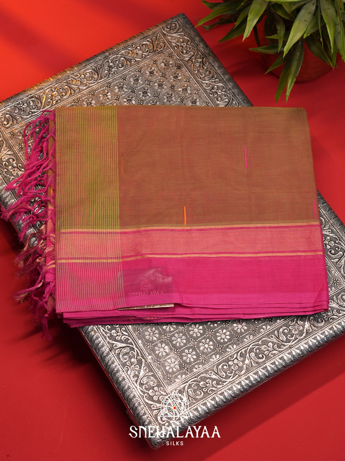 Brown Handloom Cotton Saree