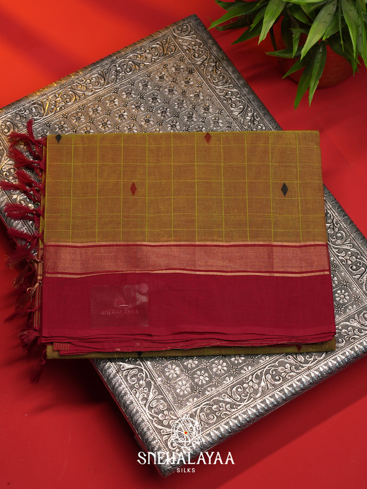 Mehendi Green Handloom Cotton Saree