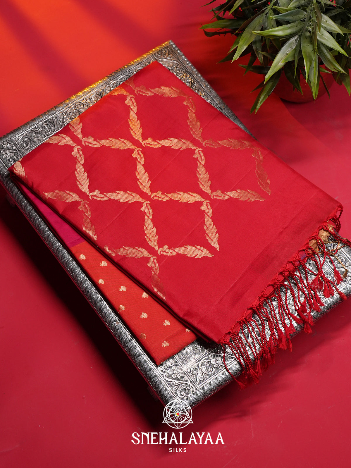 MultiColour Soft Silk Saree