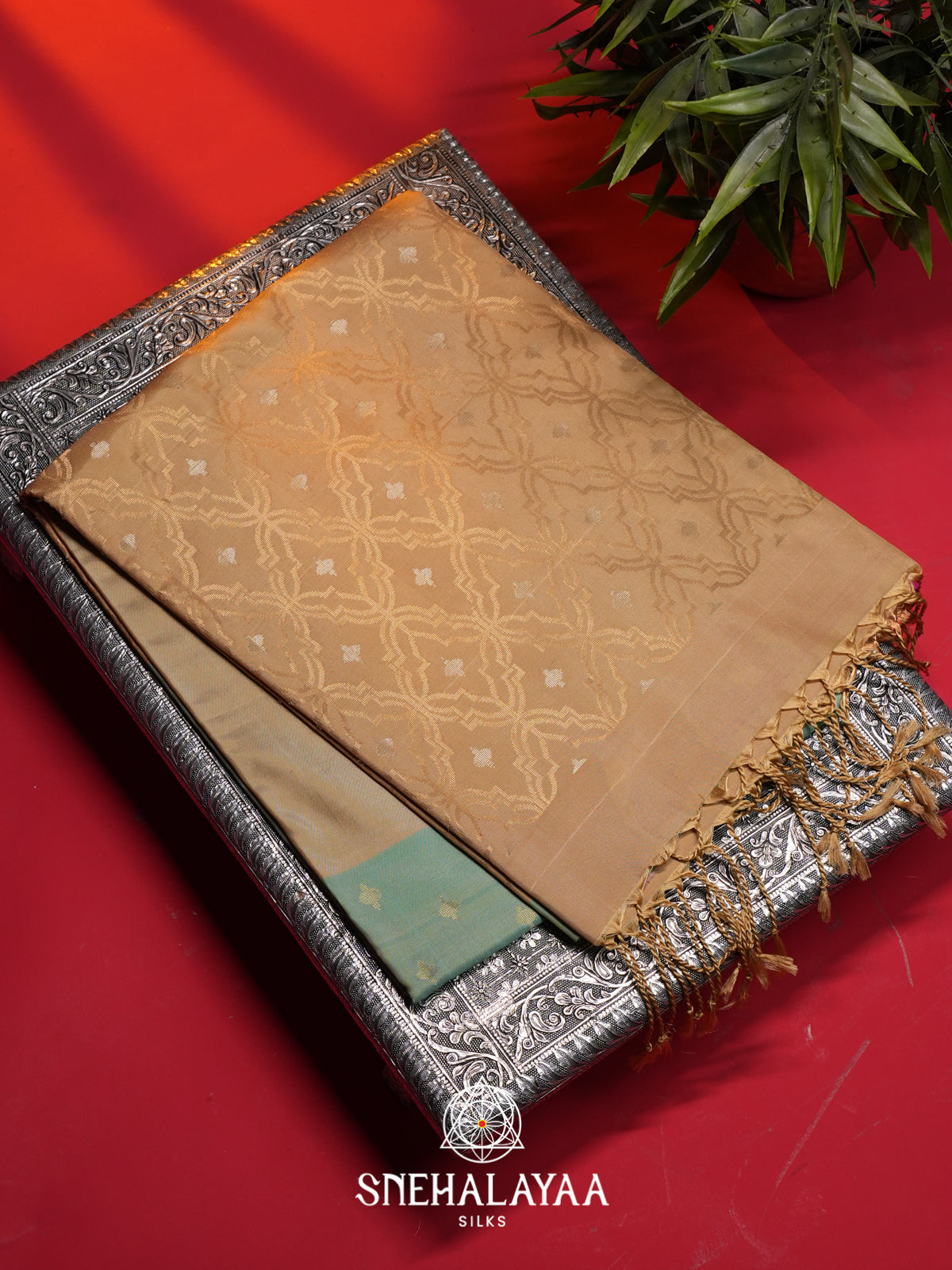 Beige Soft Silk Saree
