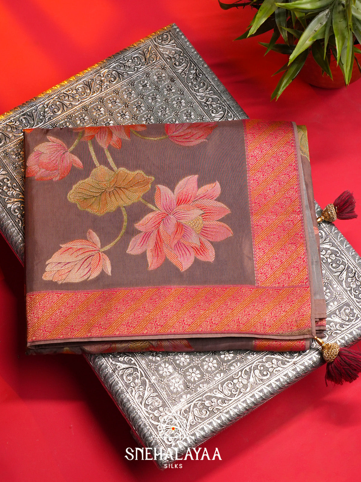 Brown Dola Saree