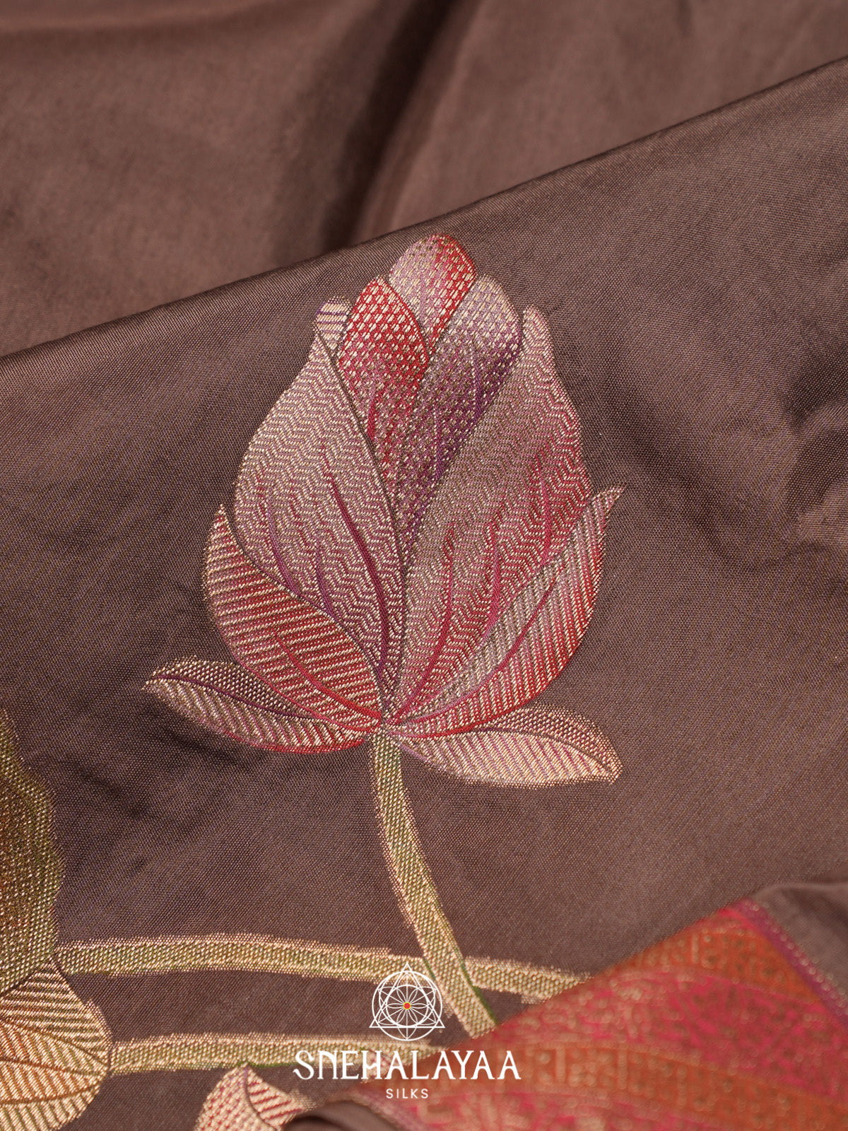 Brown Dola Saree