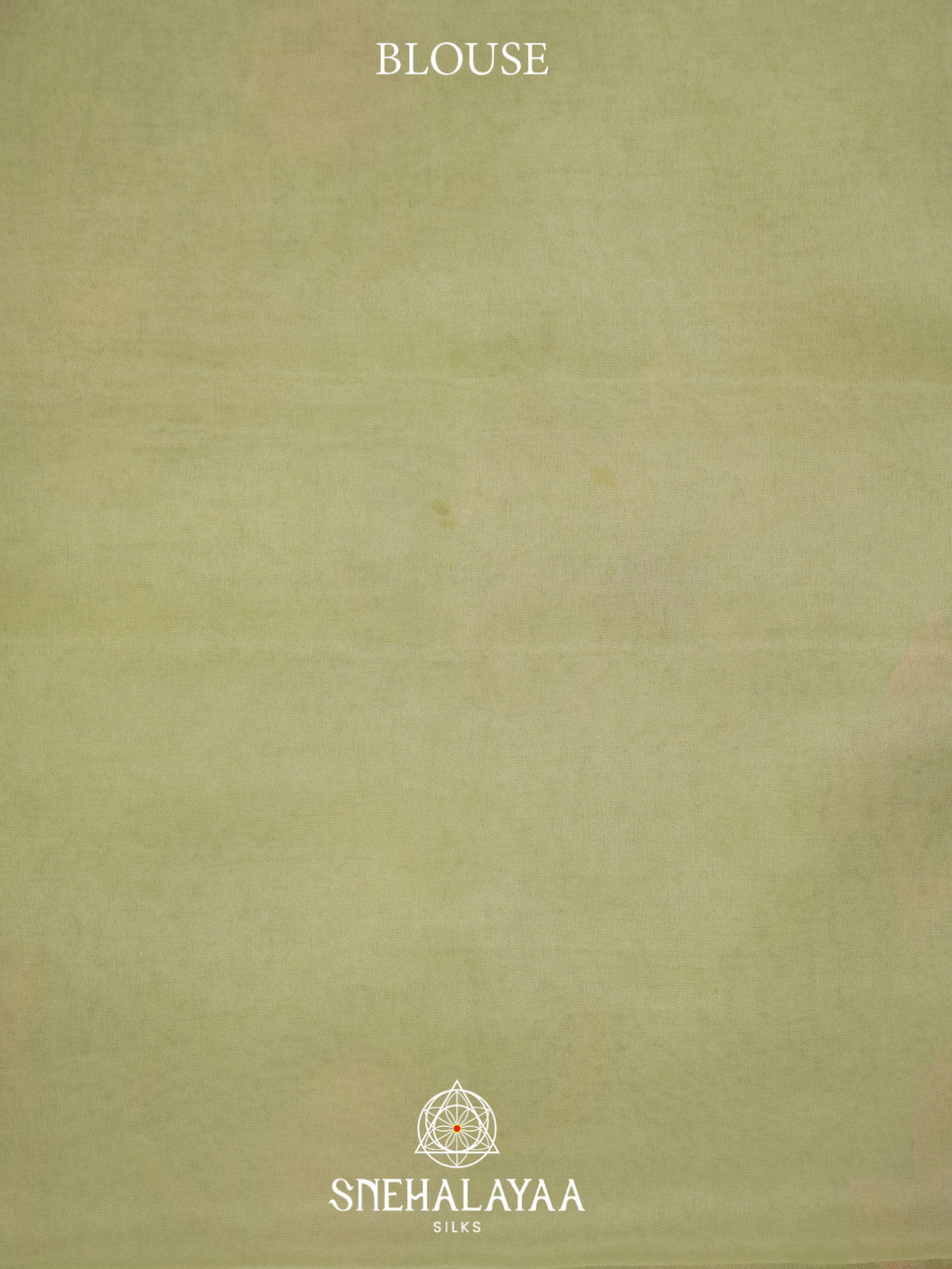 Pista Green Organza Saree