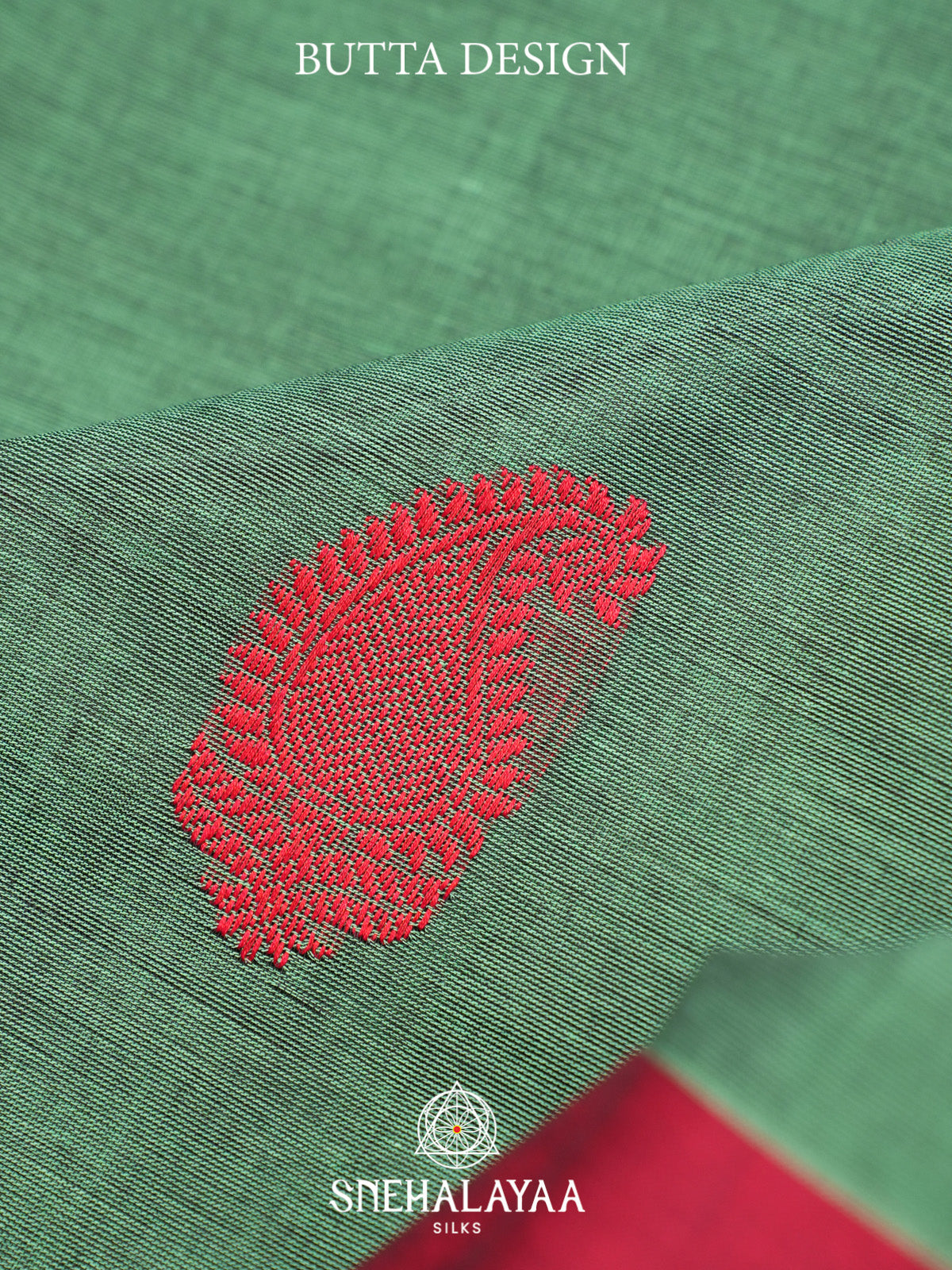 Mint Green Kanchi Cotton Saree