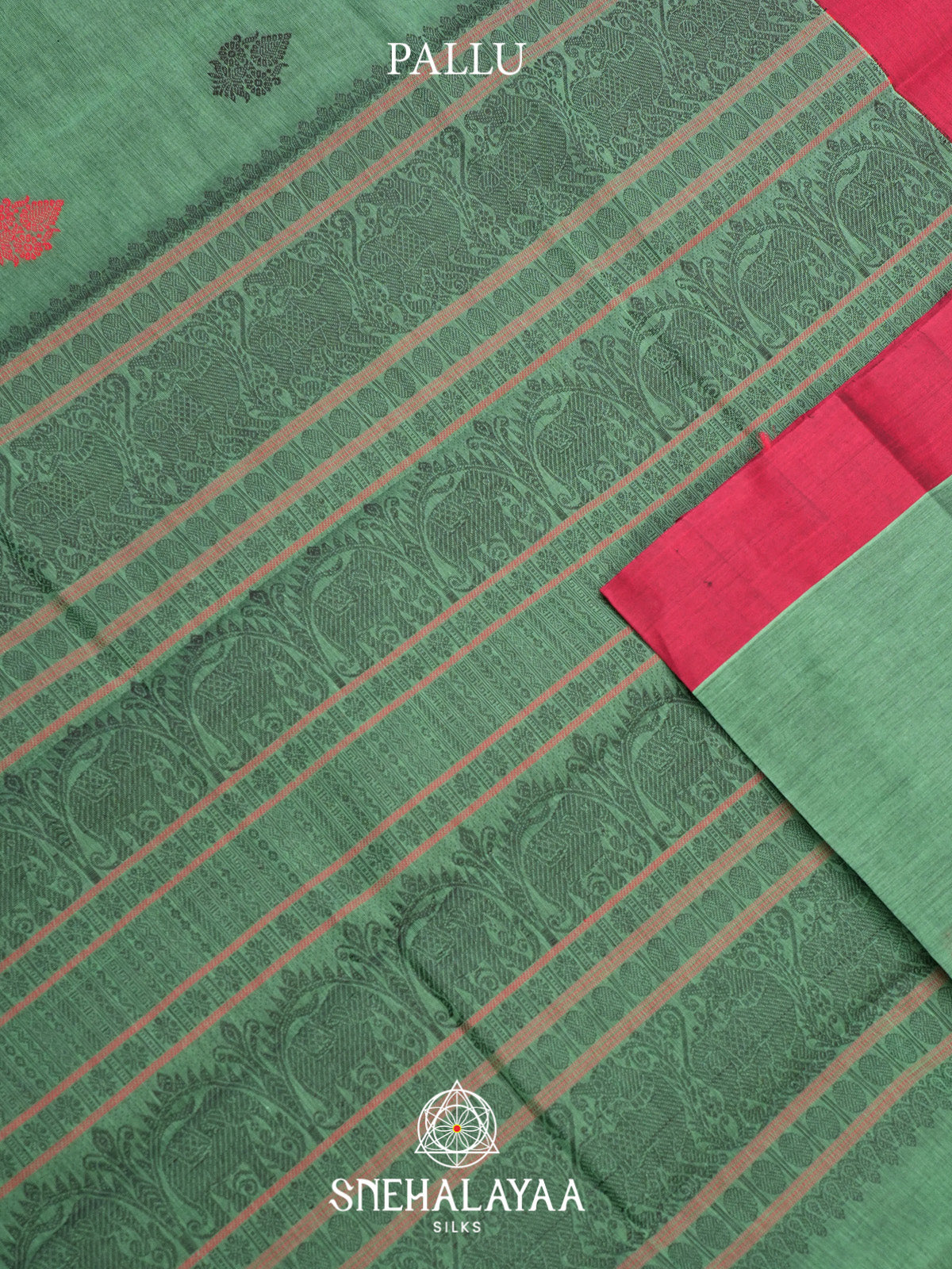 Mint Green Kanchi Cotton Saree