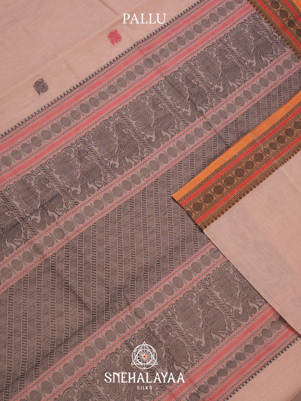Off White Kanchi Cotton Saree