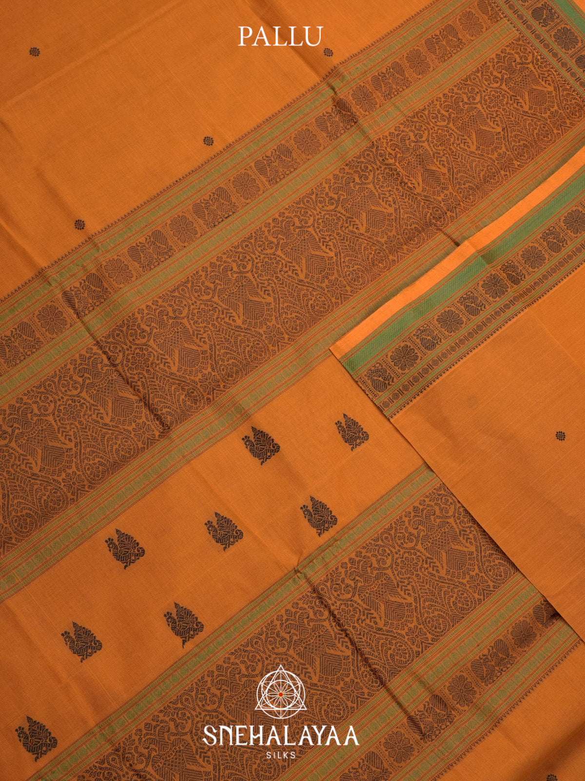 Orange Kanchi Cotton Saree