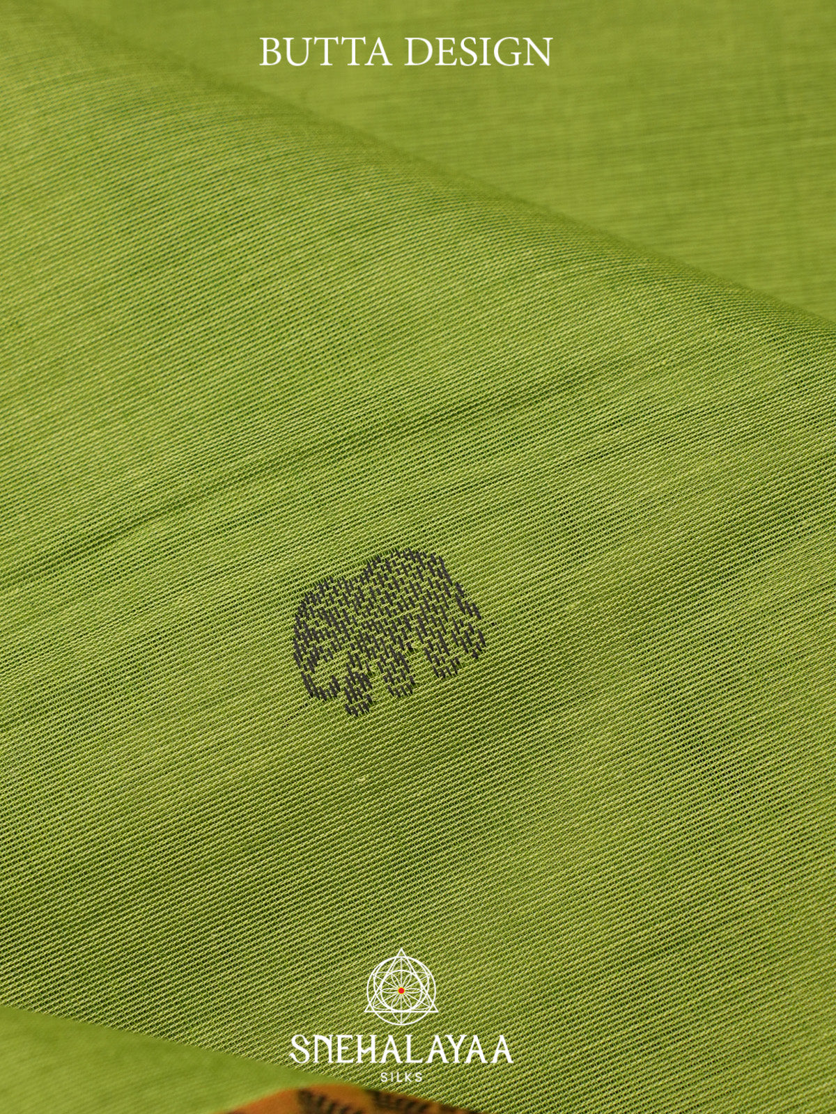 Green Kanchi Cotton Saree