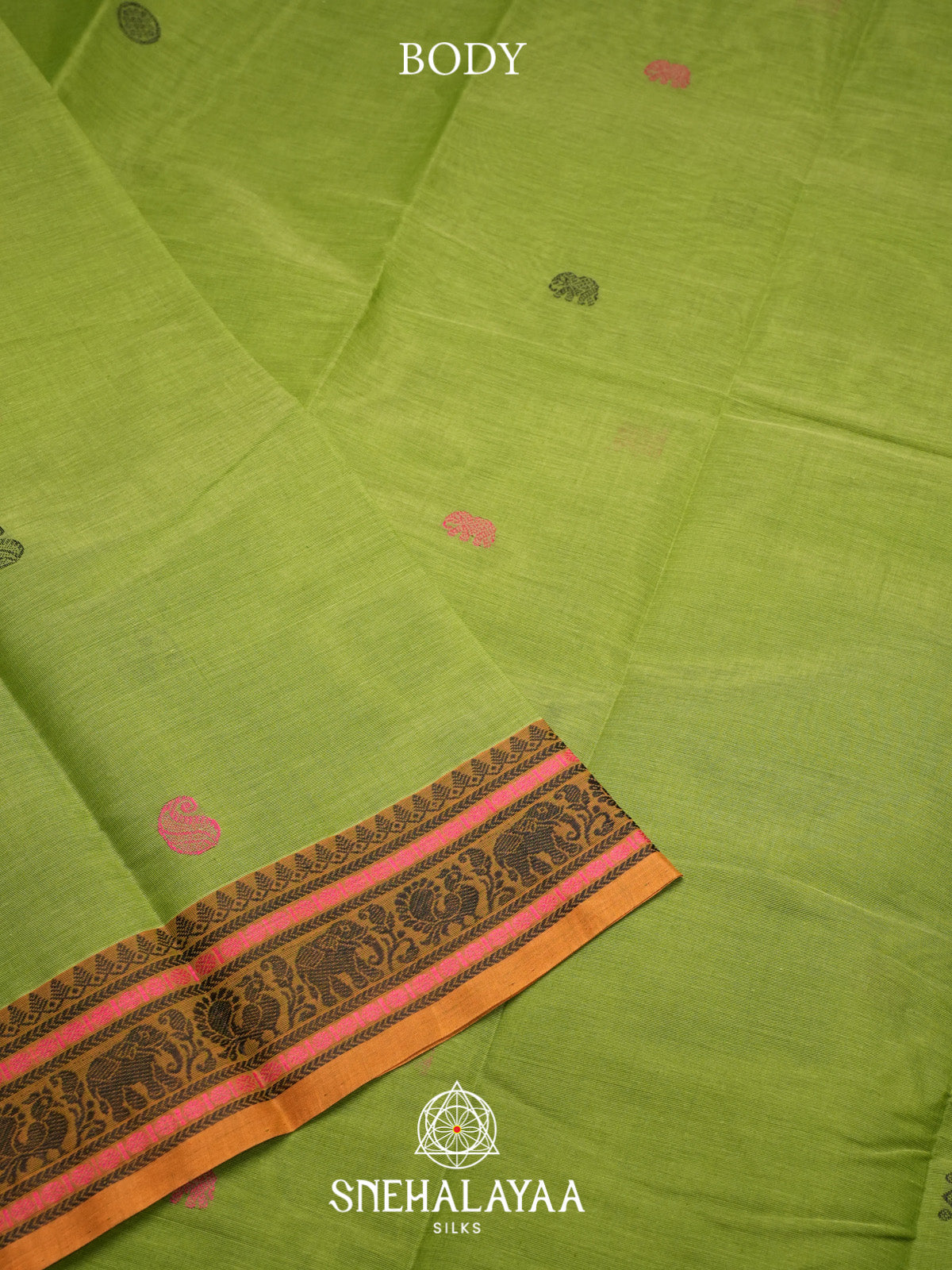 Green Kanchi Cotton Saree