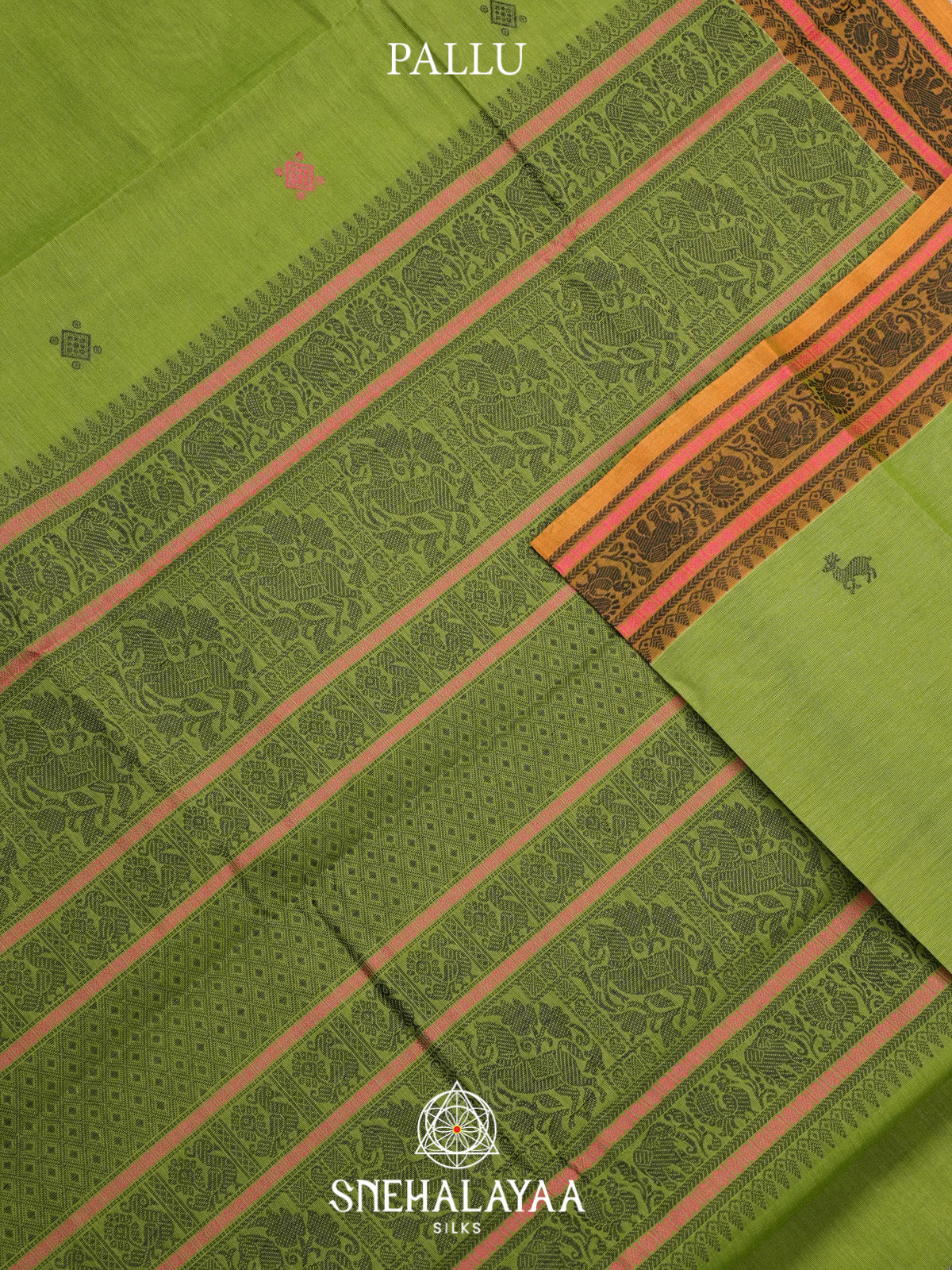 Green Kanchi Cotton Saree
