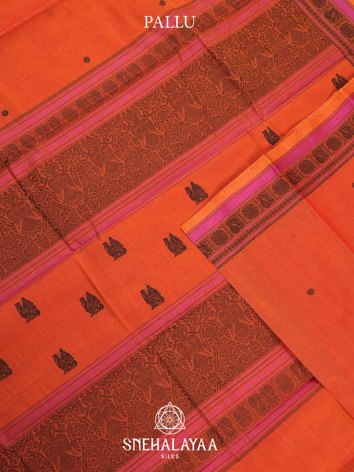 Coral Orange Kanchi Cotton Saree