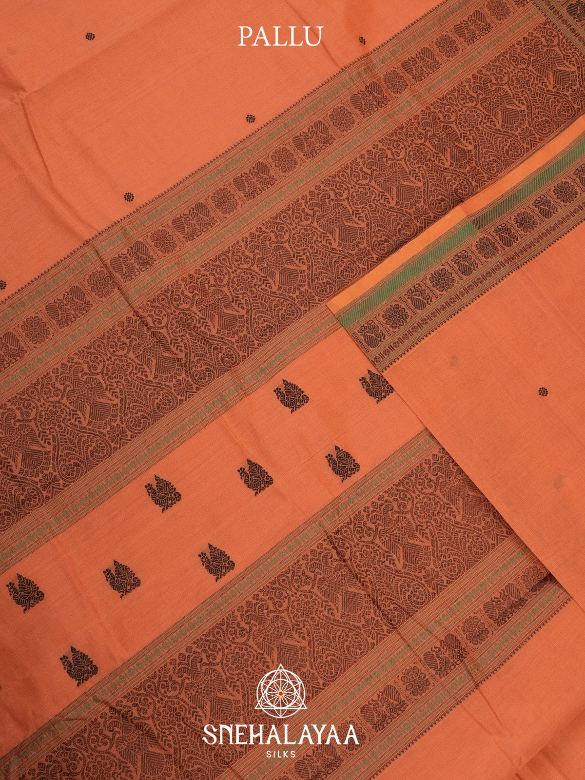 Pale Orange Kanchi Cotton Saree