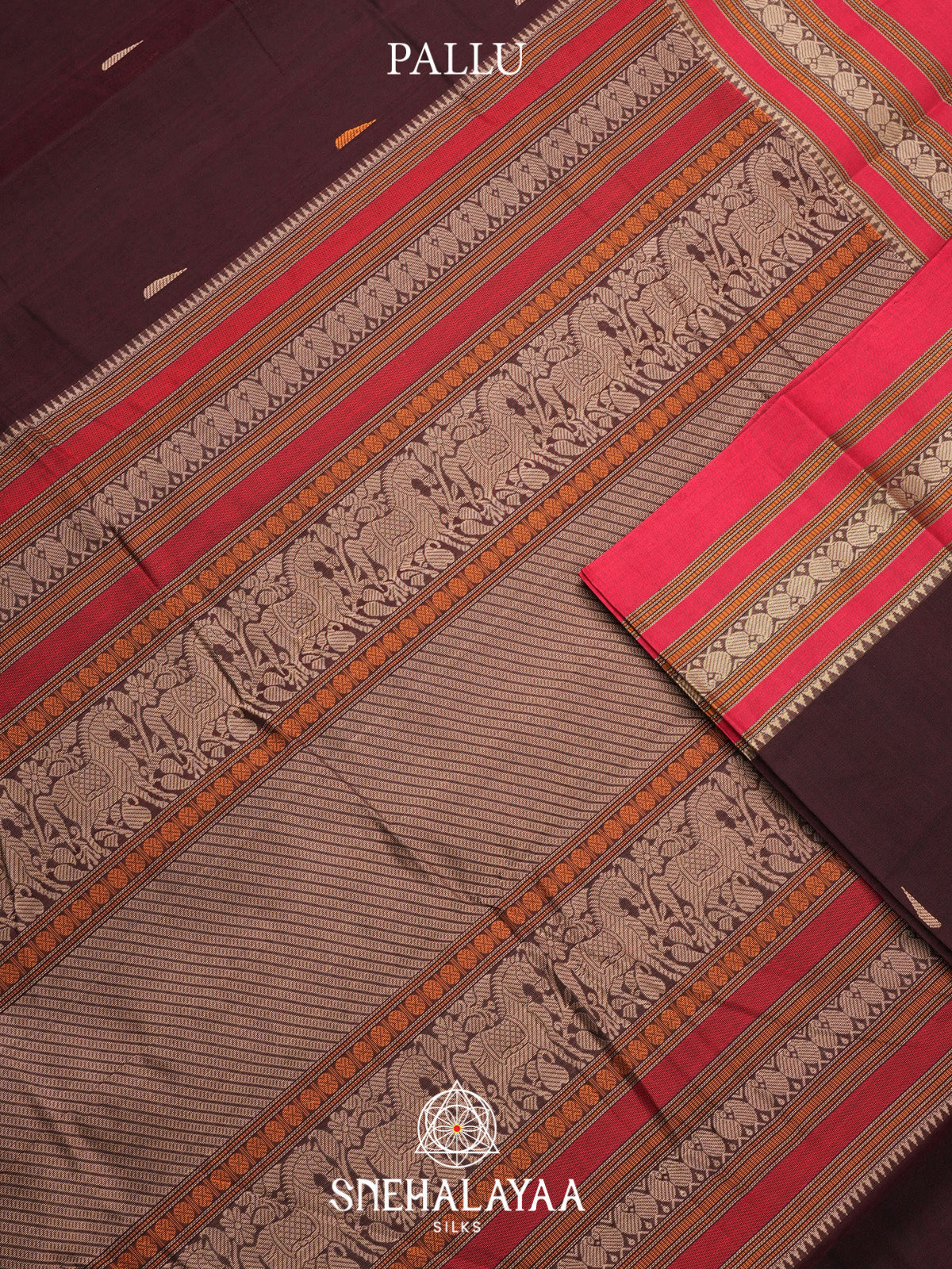 Chocolate Brown Kanchi Cotton Saree
