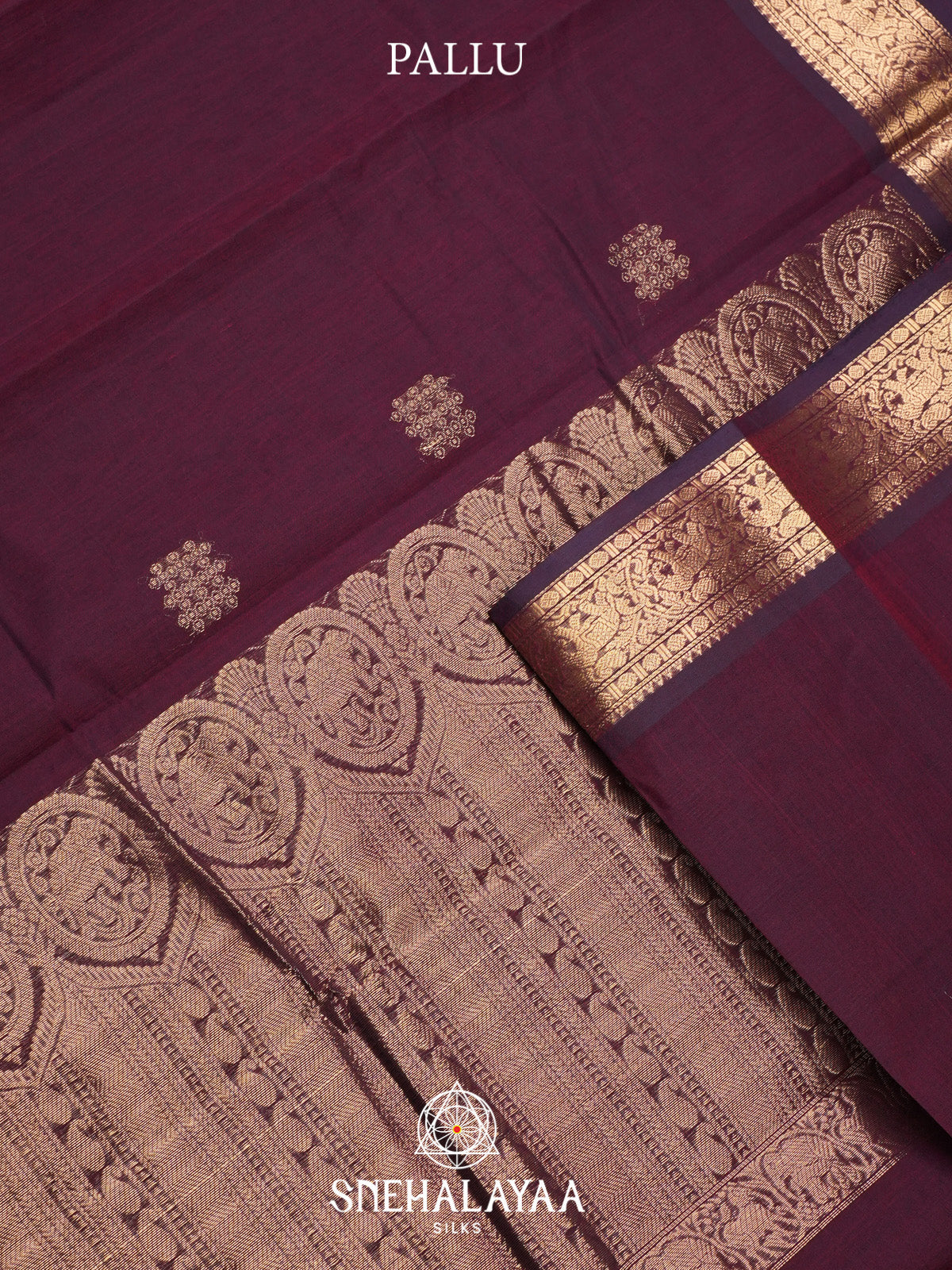 Wine Kanchi Cotton Saree