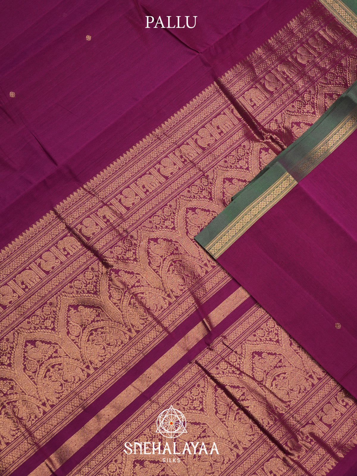 Magenta Kanchi Cotton Saree