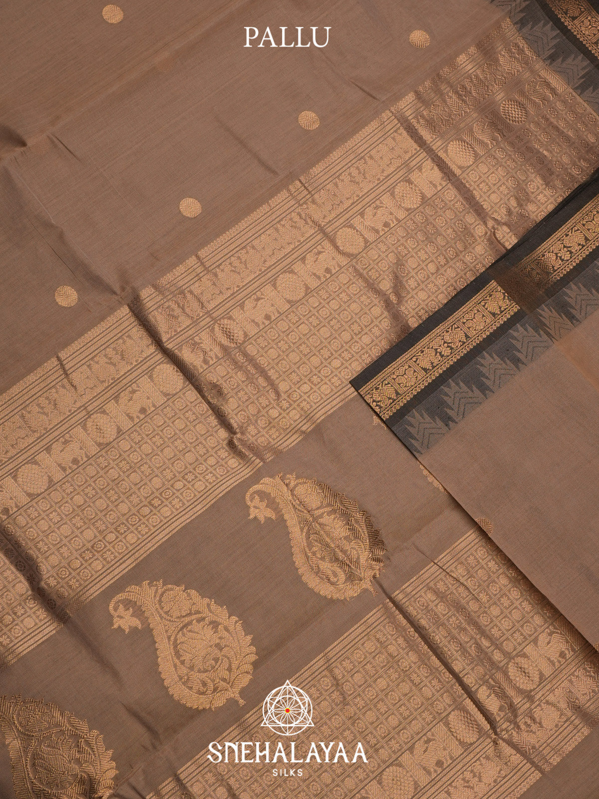 Beige Kanchi Cotton Saree