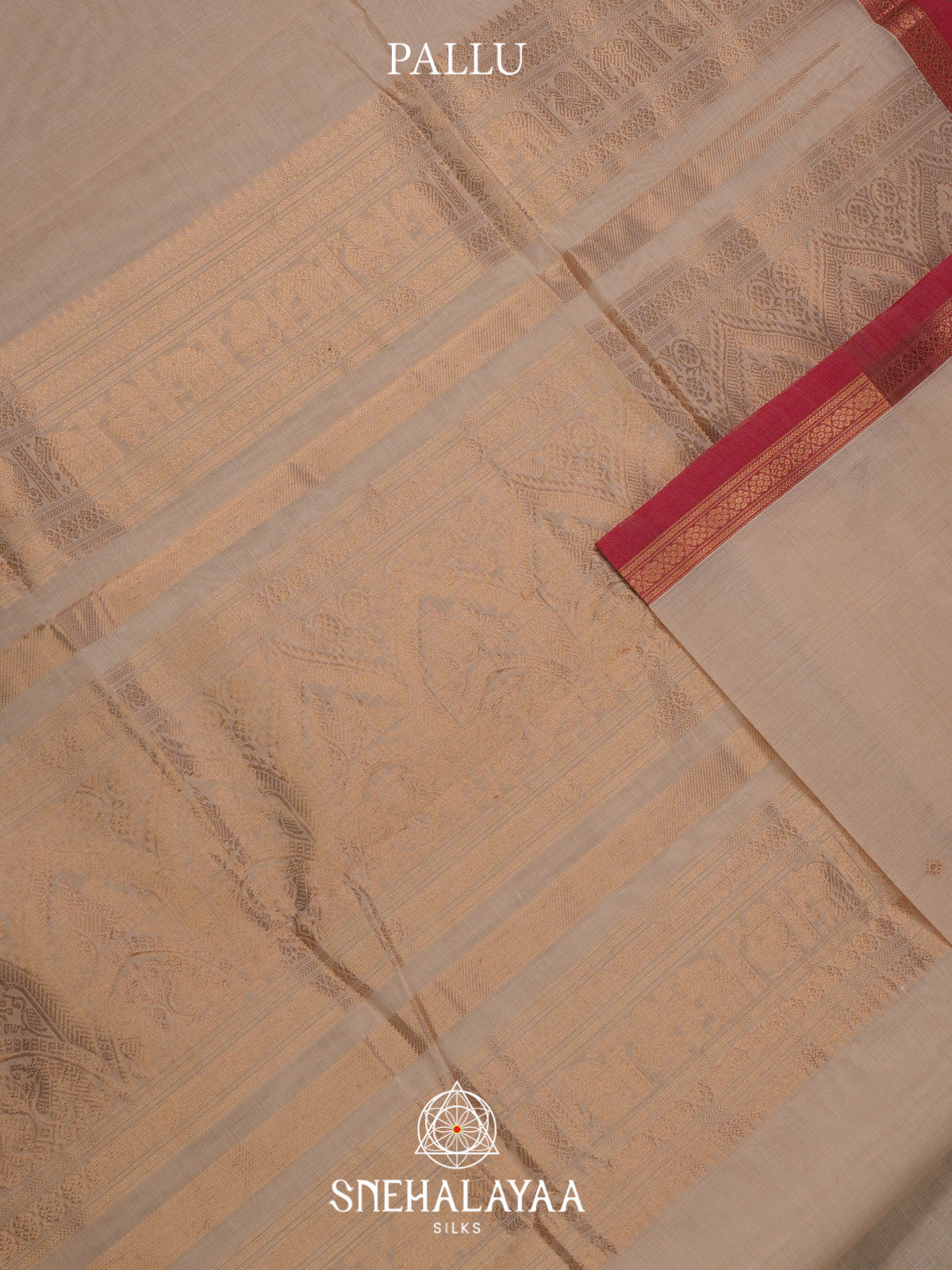 Off White Kanchi Cotton Saree