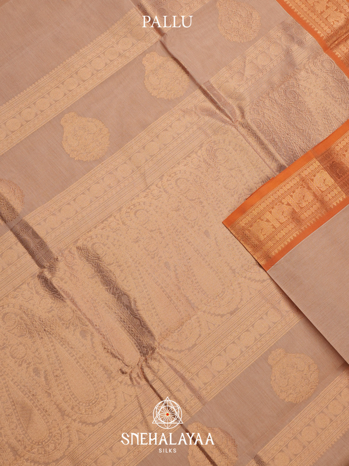 Beige Kanchi Cotton Saree