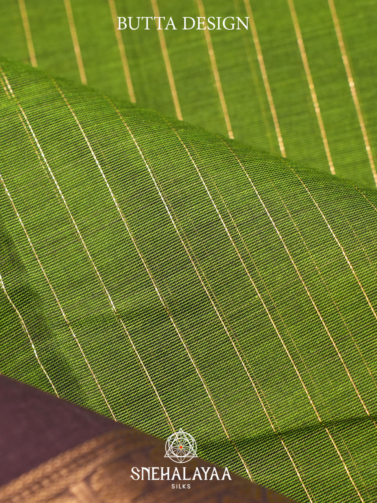 Green Kanchi Cotton Saree