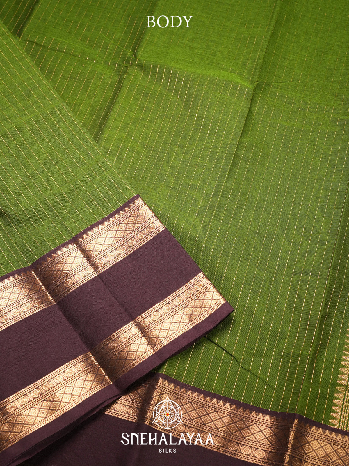 Green Kanchi Cotton Saree