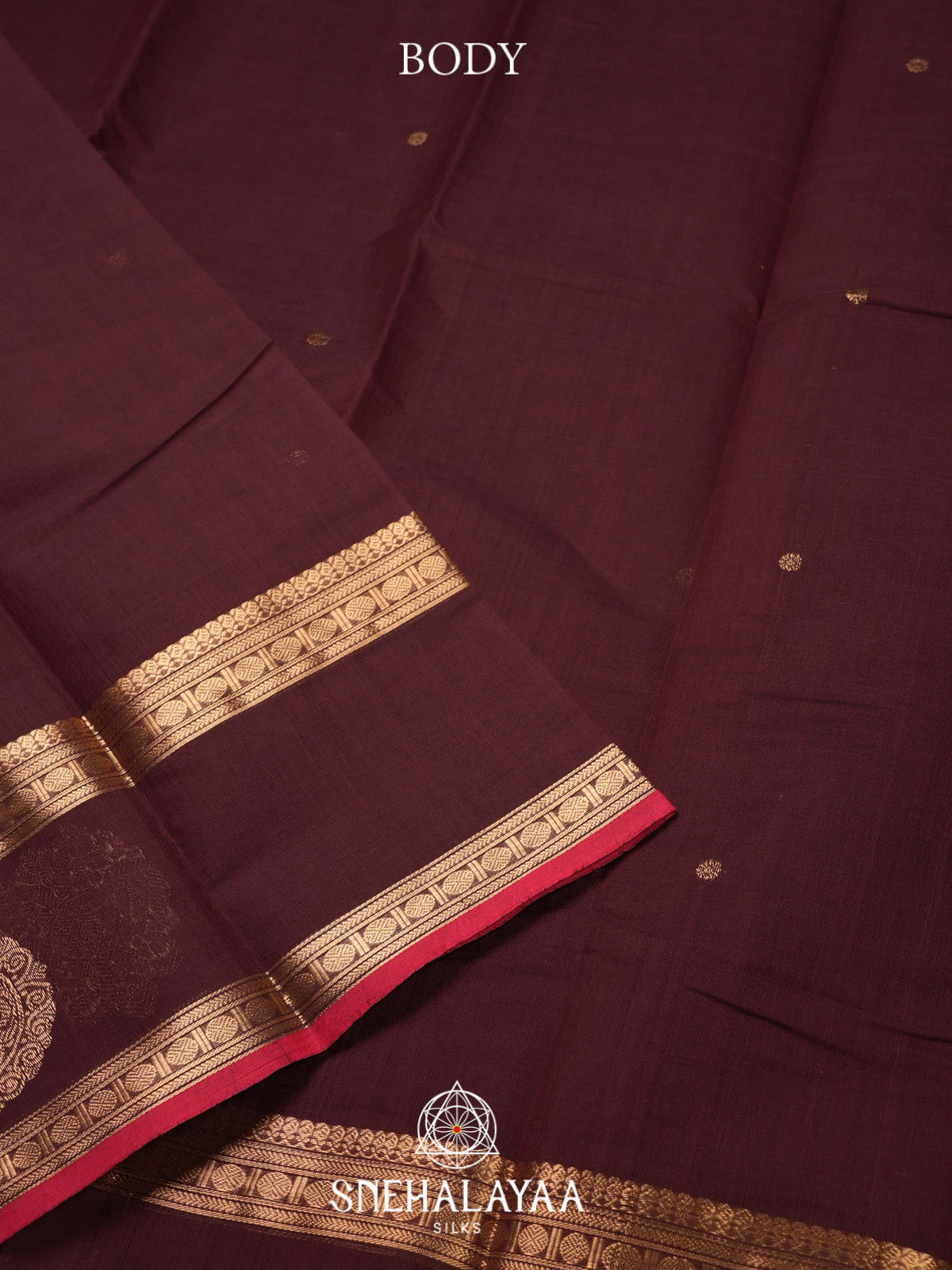 Coffee Brown Kanchi Cotton Saree