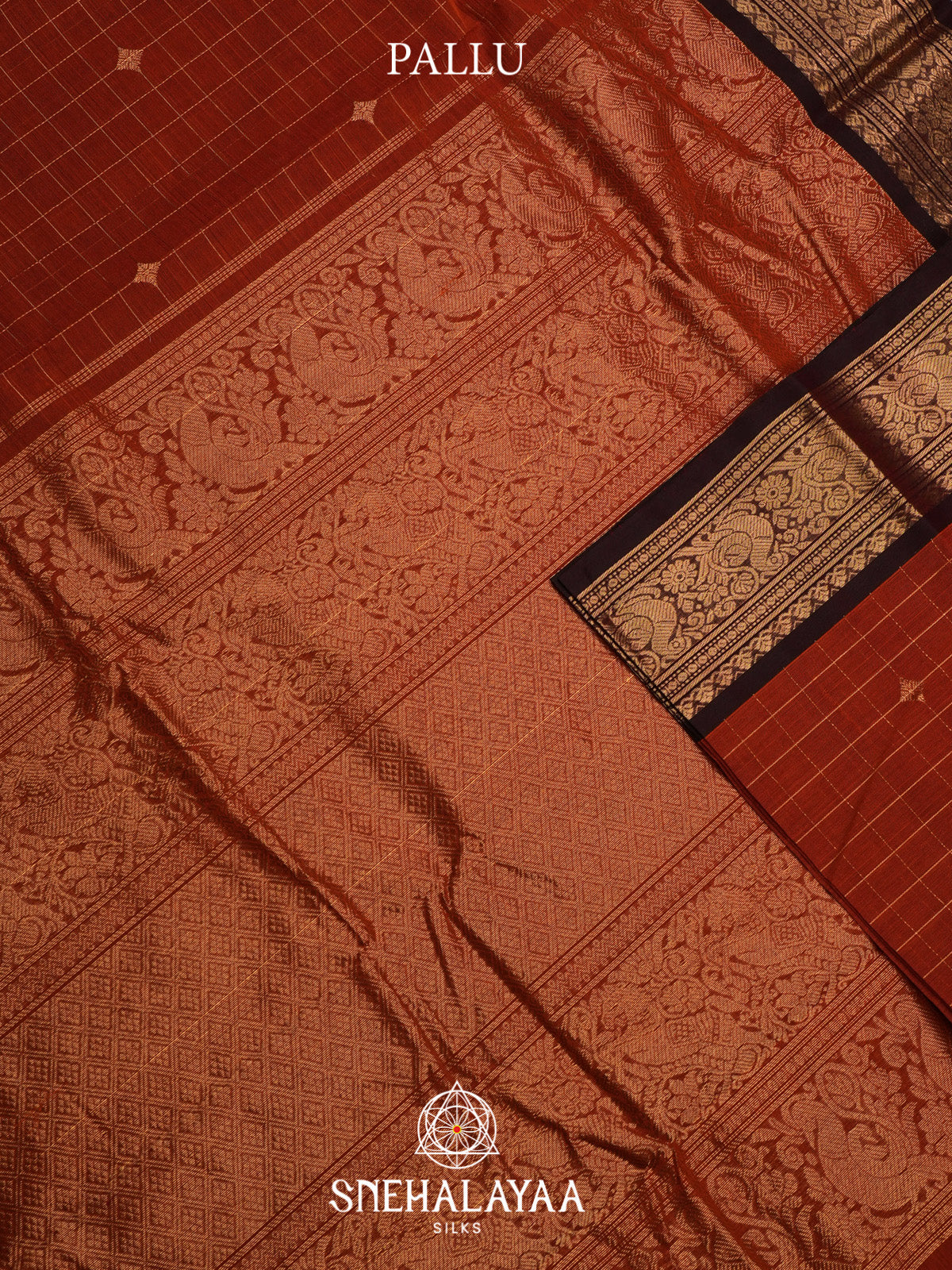 Pumpkin Orange Kanchi Cotton Saree